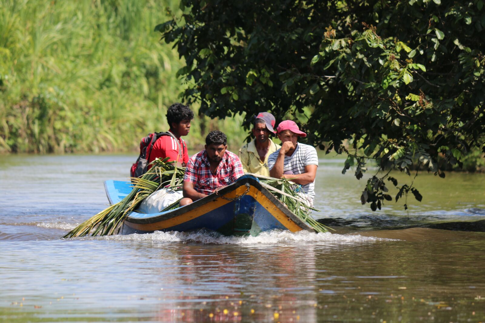 Canon EOS 70D + Canon EF-S 55-250mm F4-5.6 IS II sample photo. Guyana, farmer, sugarcane photography