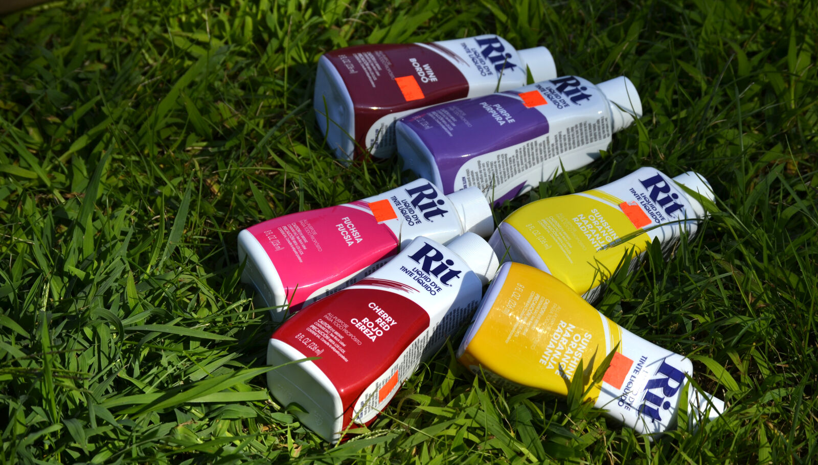 Nikon D3100 sample photo. Colors, dye, grass, rit photography
