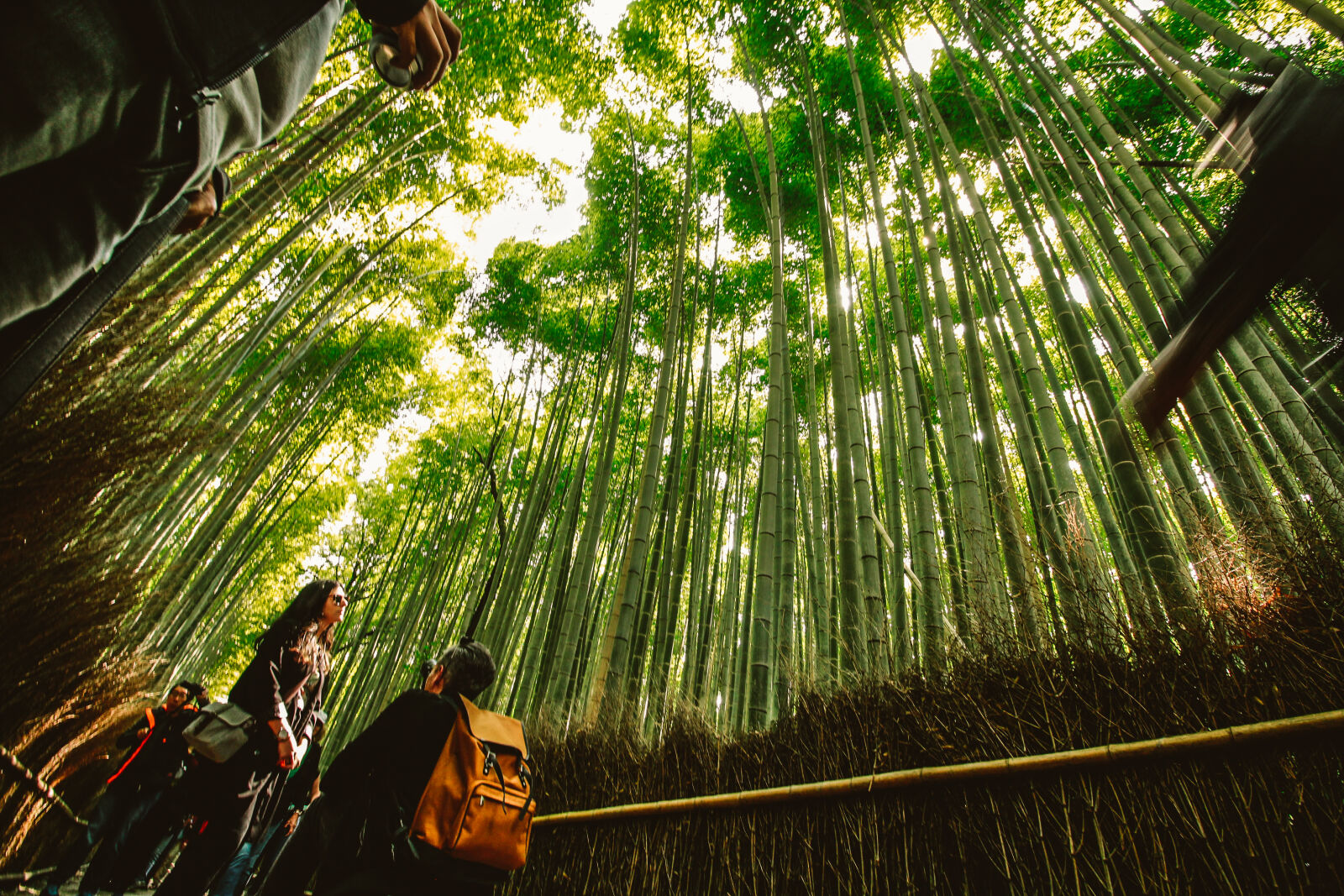 Canon EOS 600D (Rebel EOS T3i / EOS Kiss X5) sample photo. Arashimaya, bamboo, couple, japan photography