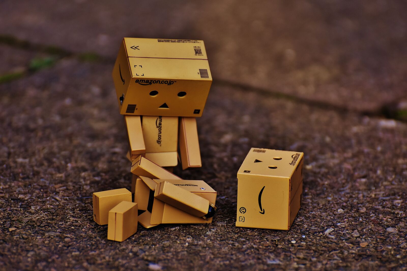 Nikon D7200 sample photo. Danbo, sad, figure photography