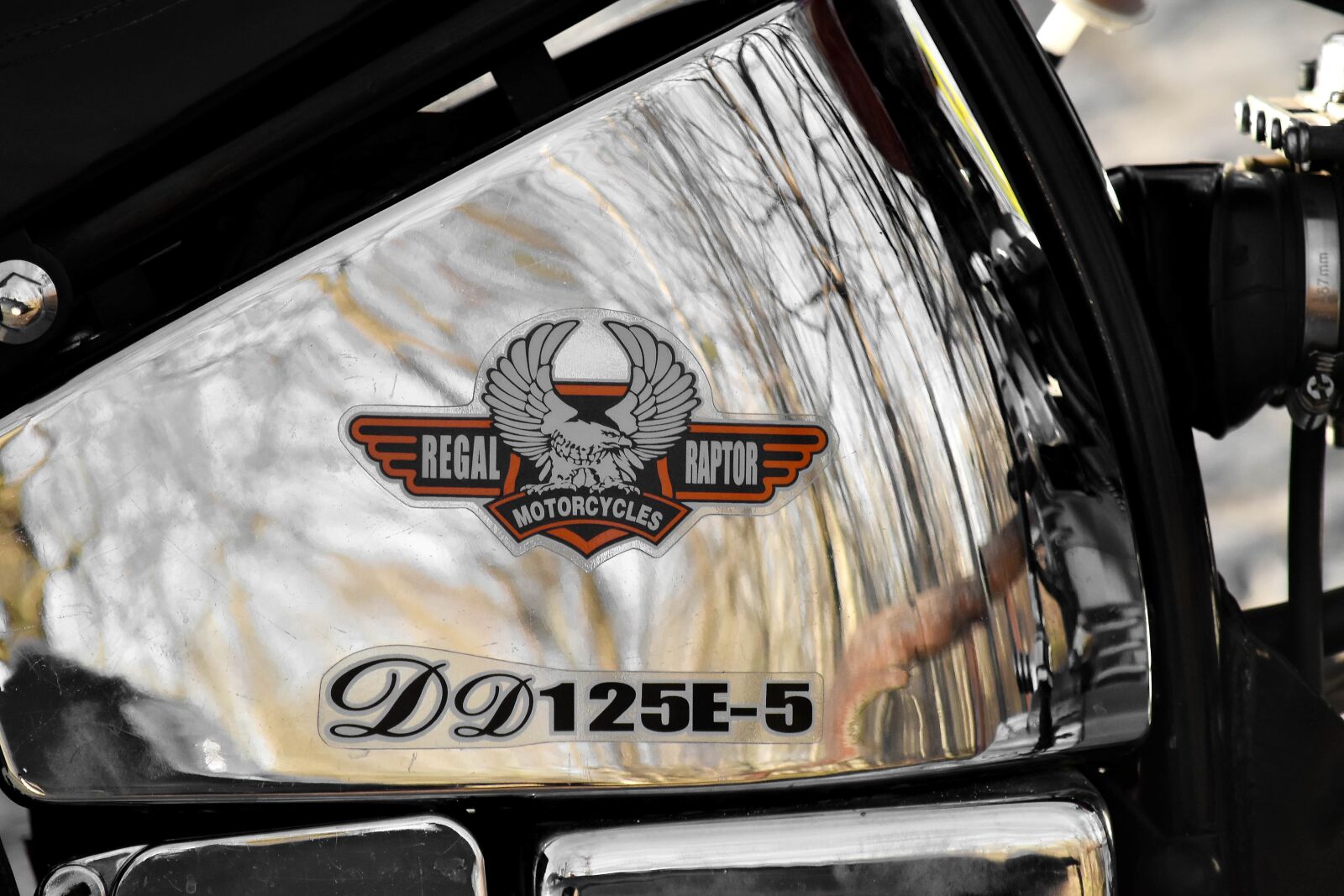 Nikon D5500 sample photo. Brand, chrome, famous, fuel photography