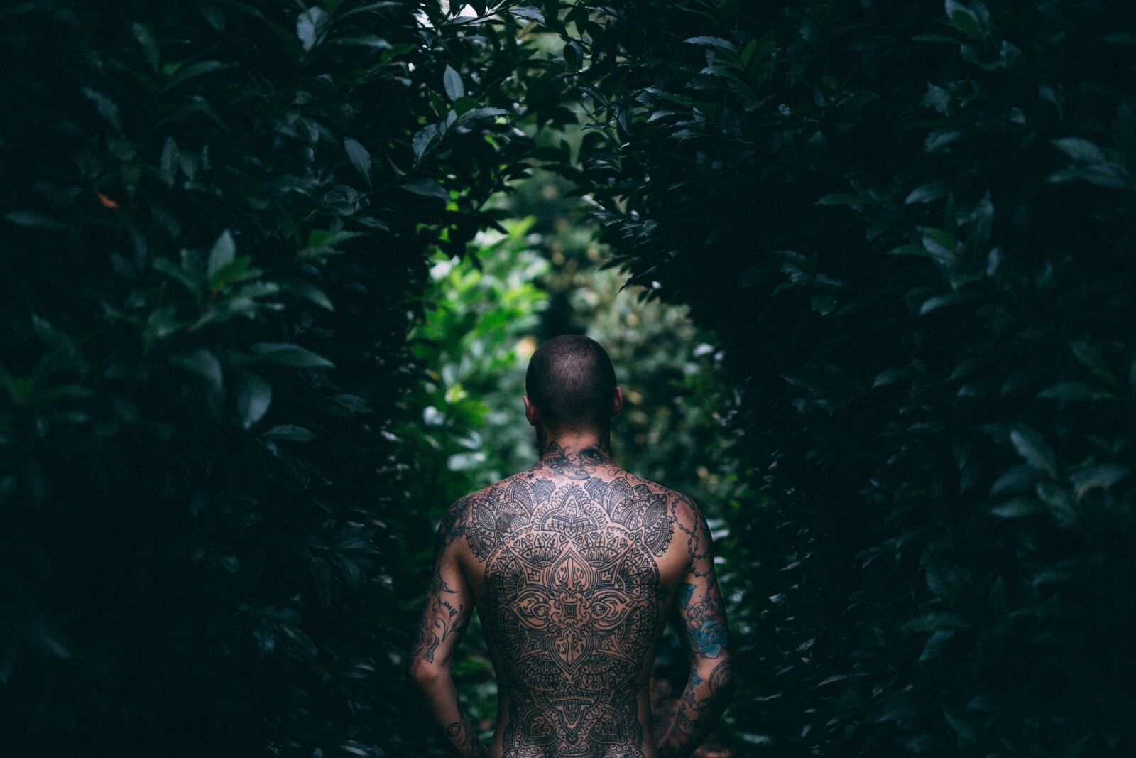 Canon EOS 6D sample photo. Adult, art, back view photography