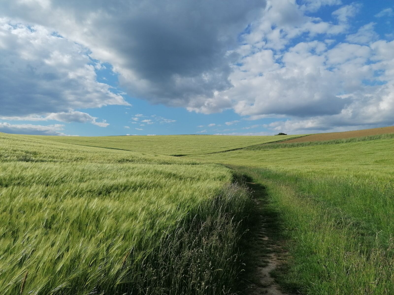 HUAWEI P30 LITE sample photo. Landscape, nature, sky photography