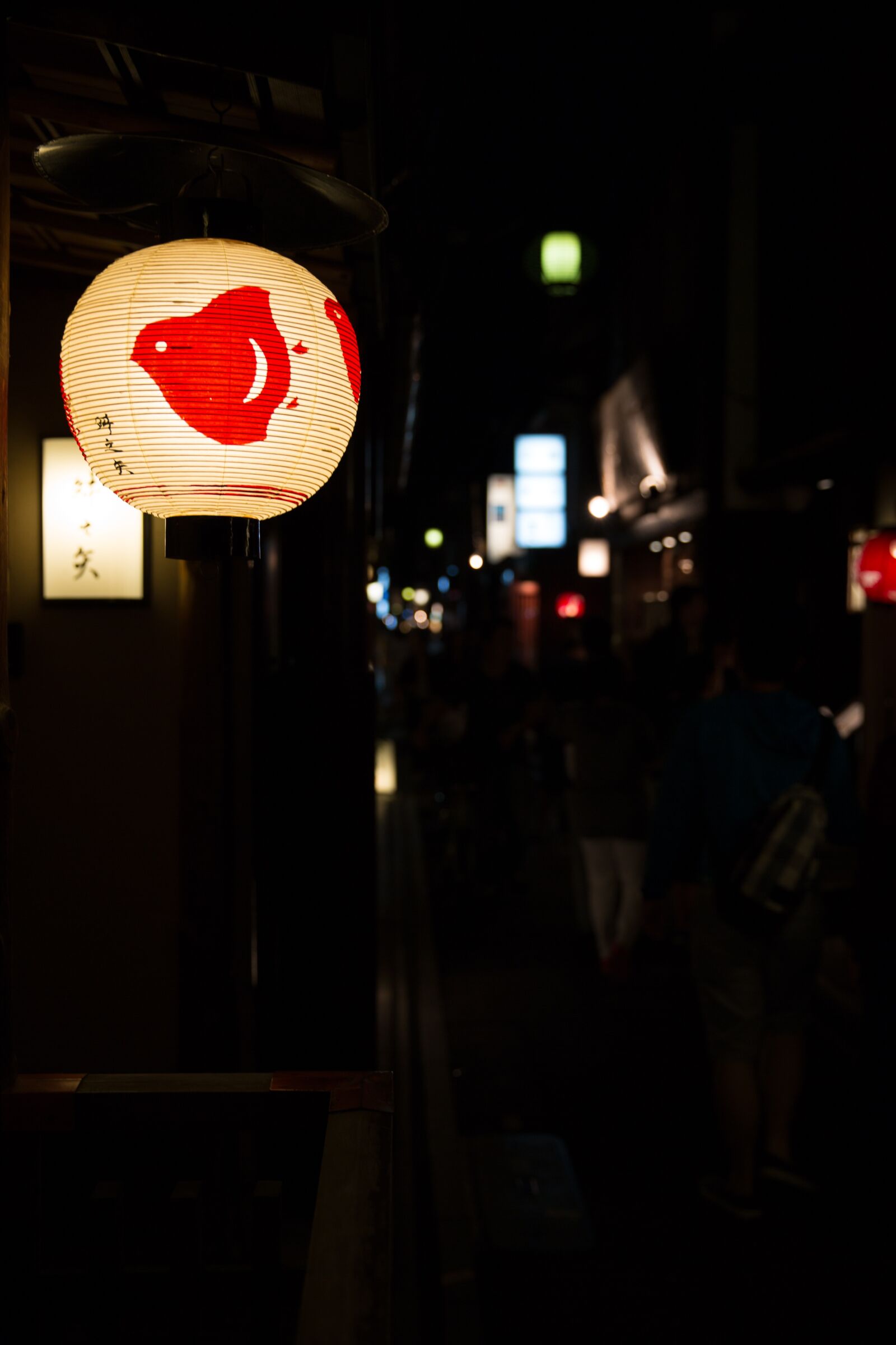 Canon EF 24-70mm F2.8L II USM sample photo. Alley, dark, lanterns photography