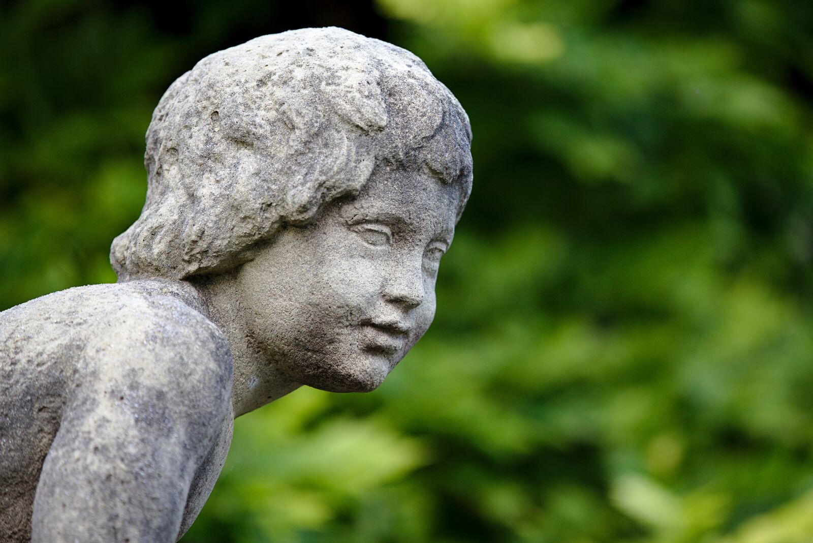 Canon EOS 6D sample photo. Statue, cherub, park photography