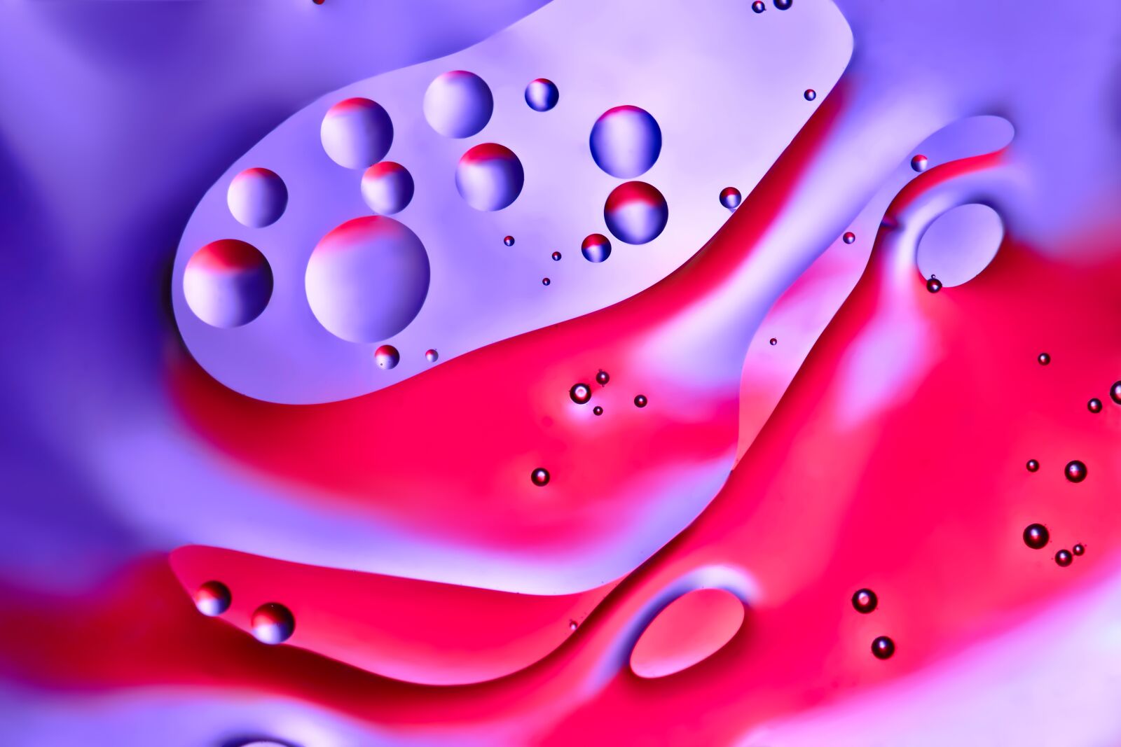 Canon EOS 77D (EOS 9000D / EOS 770D) sample photo. Abstract, plastic, artistically photography