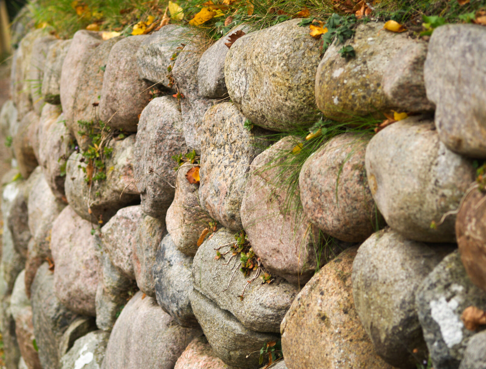 Olympus E-500 (EVOLT E-500) sample photo. Stone, wall photography