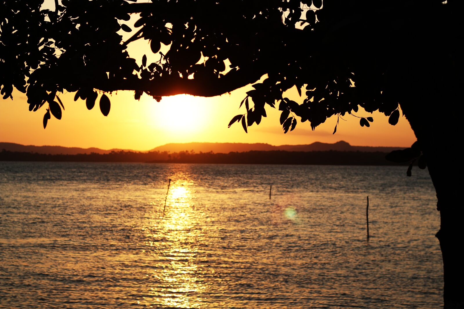 Canon EOS 600D (Rebel EOS T3i / EOS Kiss X5) + Canon EF 50mm F1.8 II sample photo. Sunset, afternoon, brazil photography
