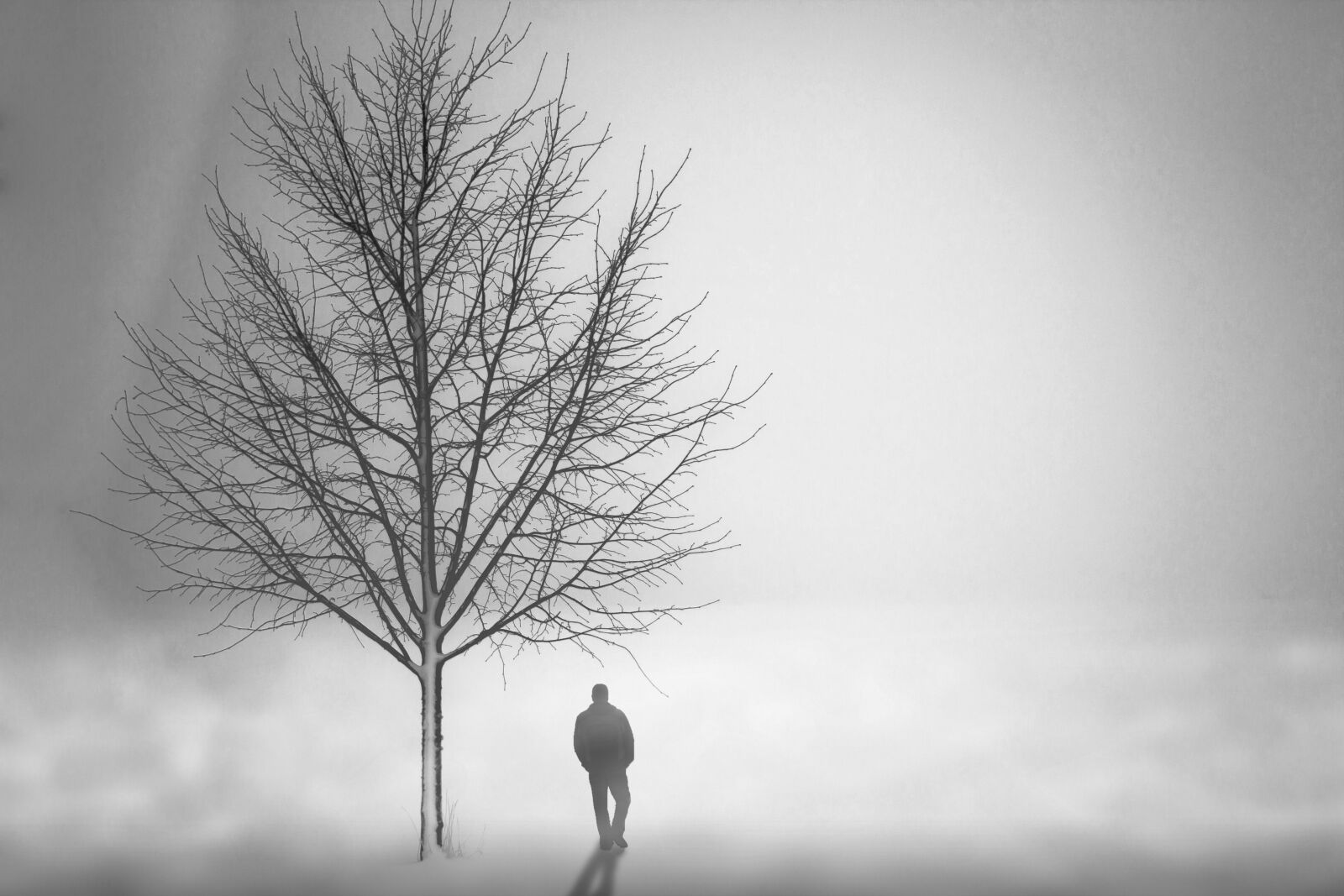 Canon EOS 60D + Canon EF 24-105mm F4L IS USM sample photo. Background, black, white photography