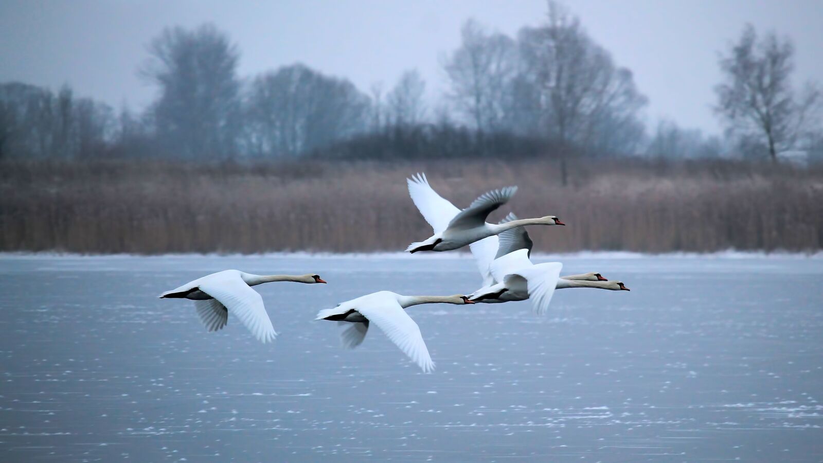 Canon EF-S 55-250mm F4-5.6 IS STM sample photo. Winter, lake, frozen photography