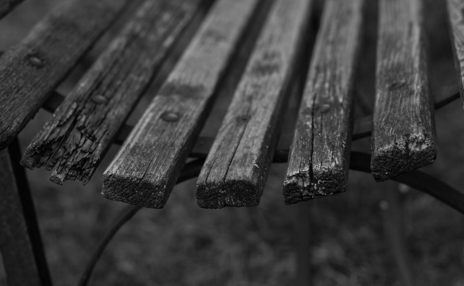 Canon EOS 700D (EOS Rebel T5i / EOS Kiss X7i) + Canon EF 50mm F1.8 STM sample photo. Bench, wood, session photography