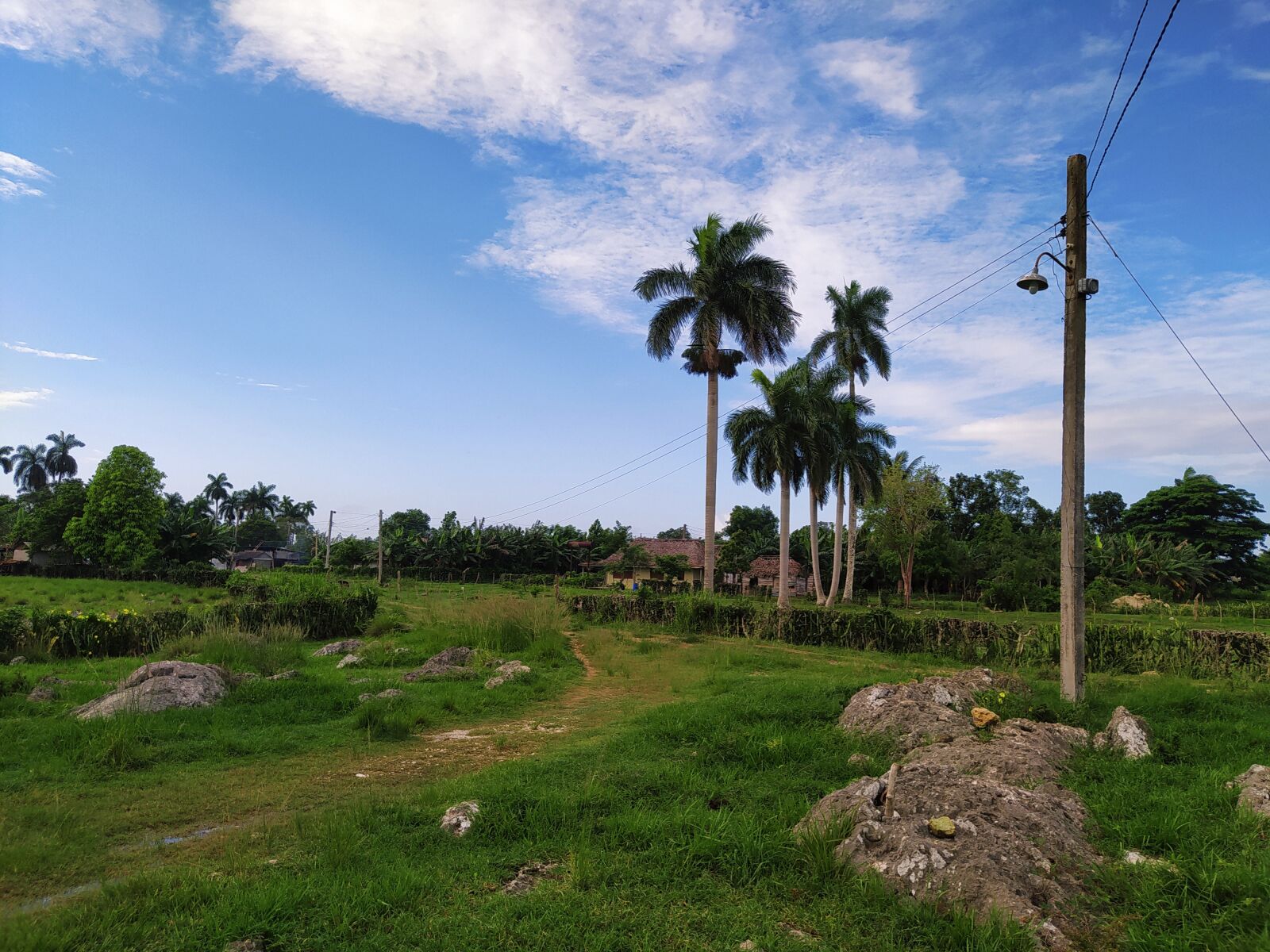 Xiaomi Redmi Note 8 sample photo. Campo, paisaje, cielo photography