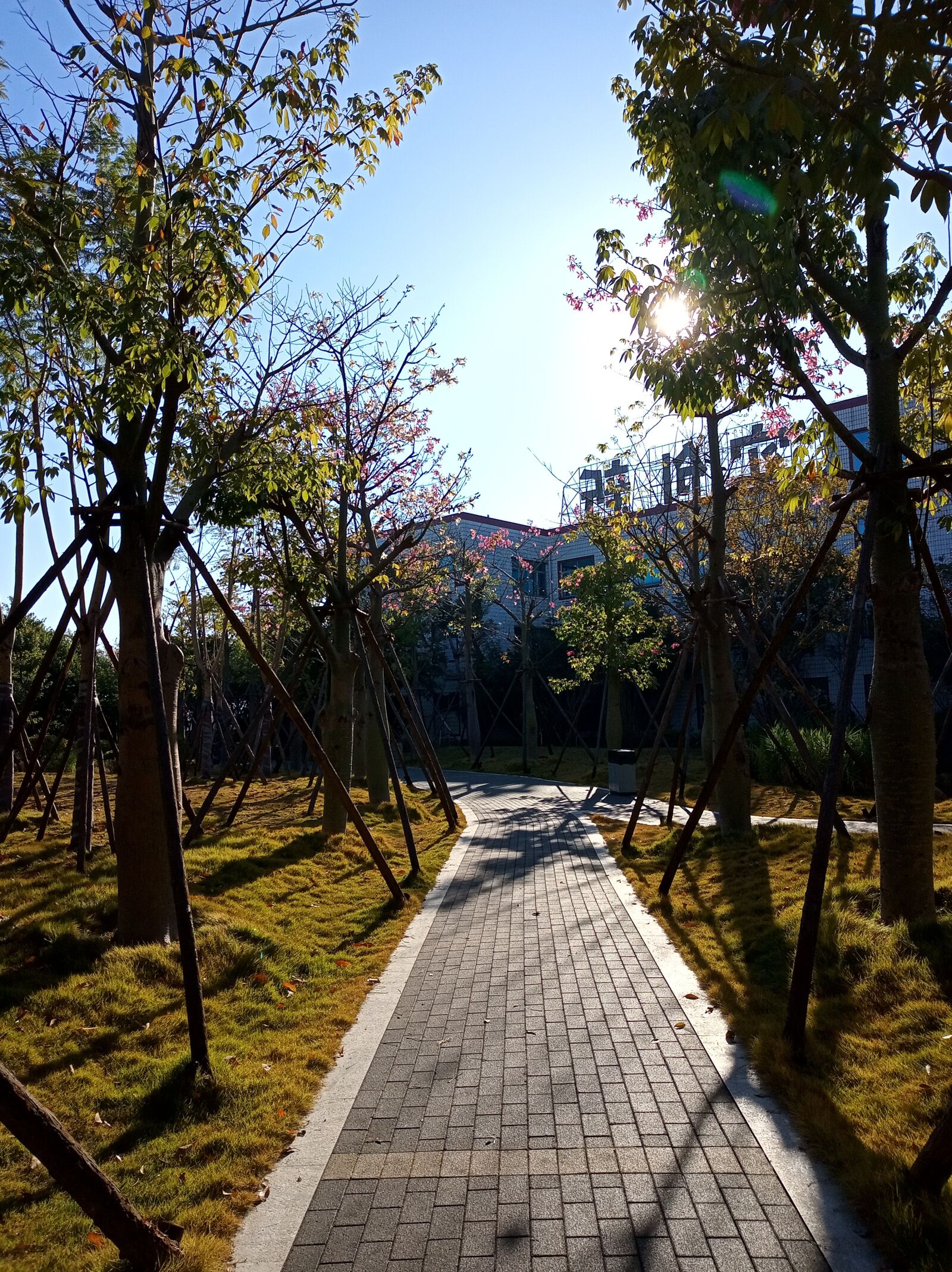Xiaomi Redmi 6 sample photo. Sunshine, the scenery, road photography