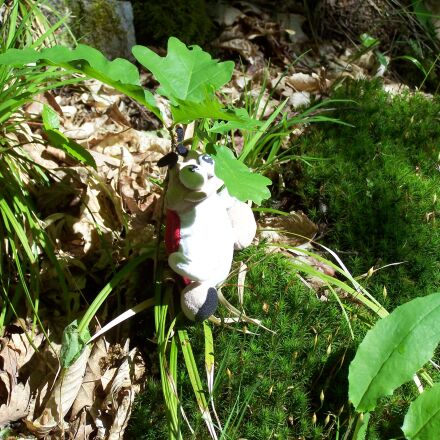 Kodak EASYSHARE Z710 ZOOM DIGITAL CAMERA sample photos - ExploreCams