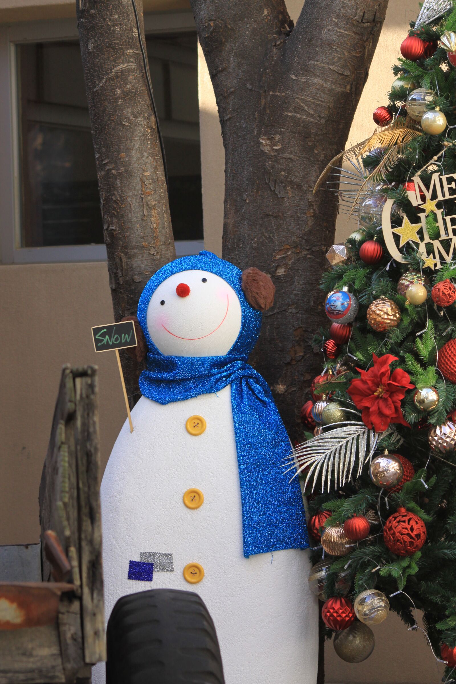 Canon EOS 50D sample photo. Snowman, christmas, winter photography