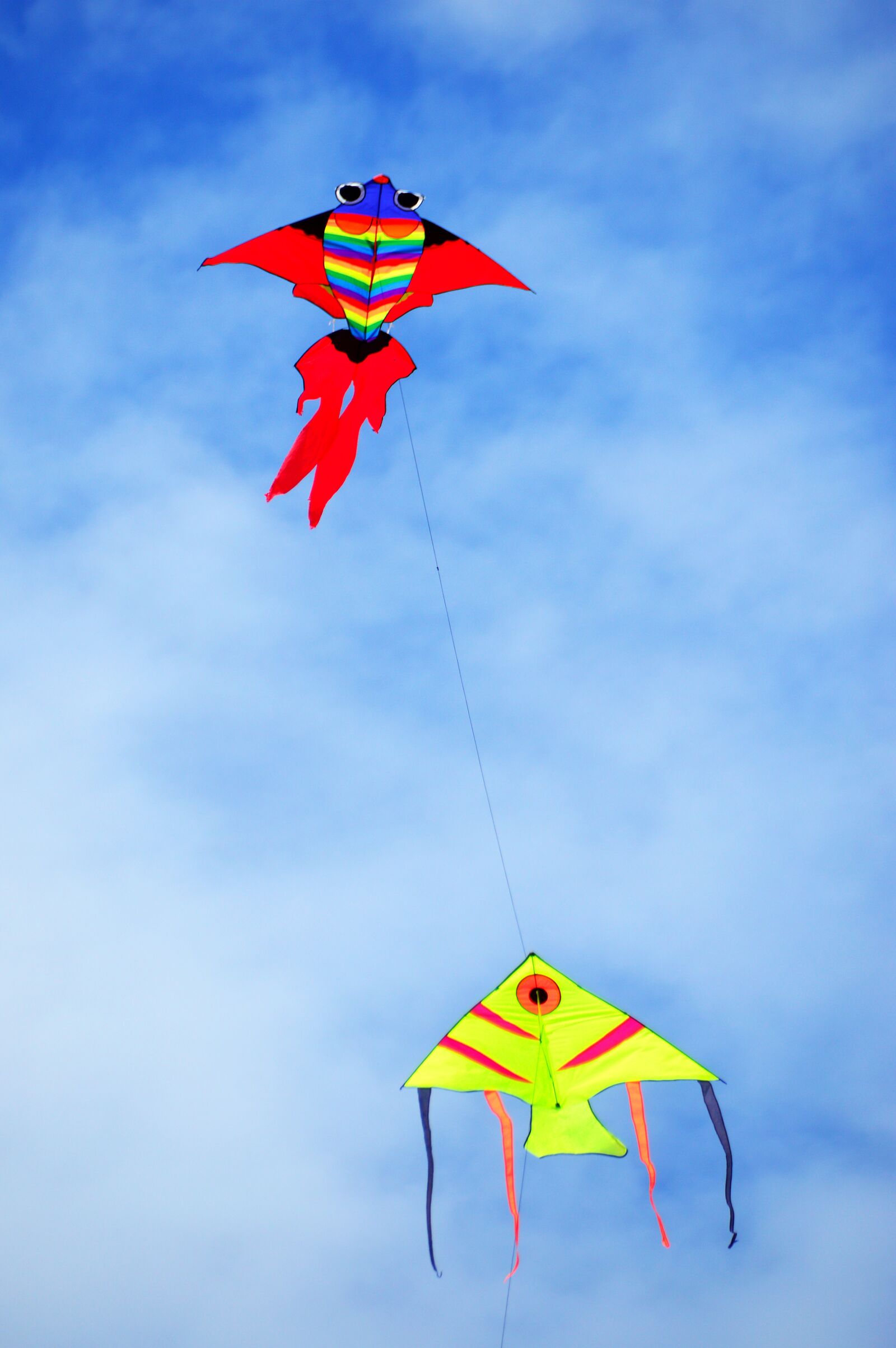 Nikon D3200 sample photo. Paper dragon, kites, freedom photography