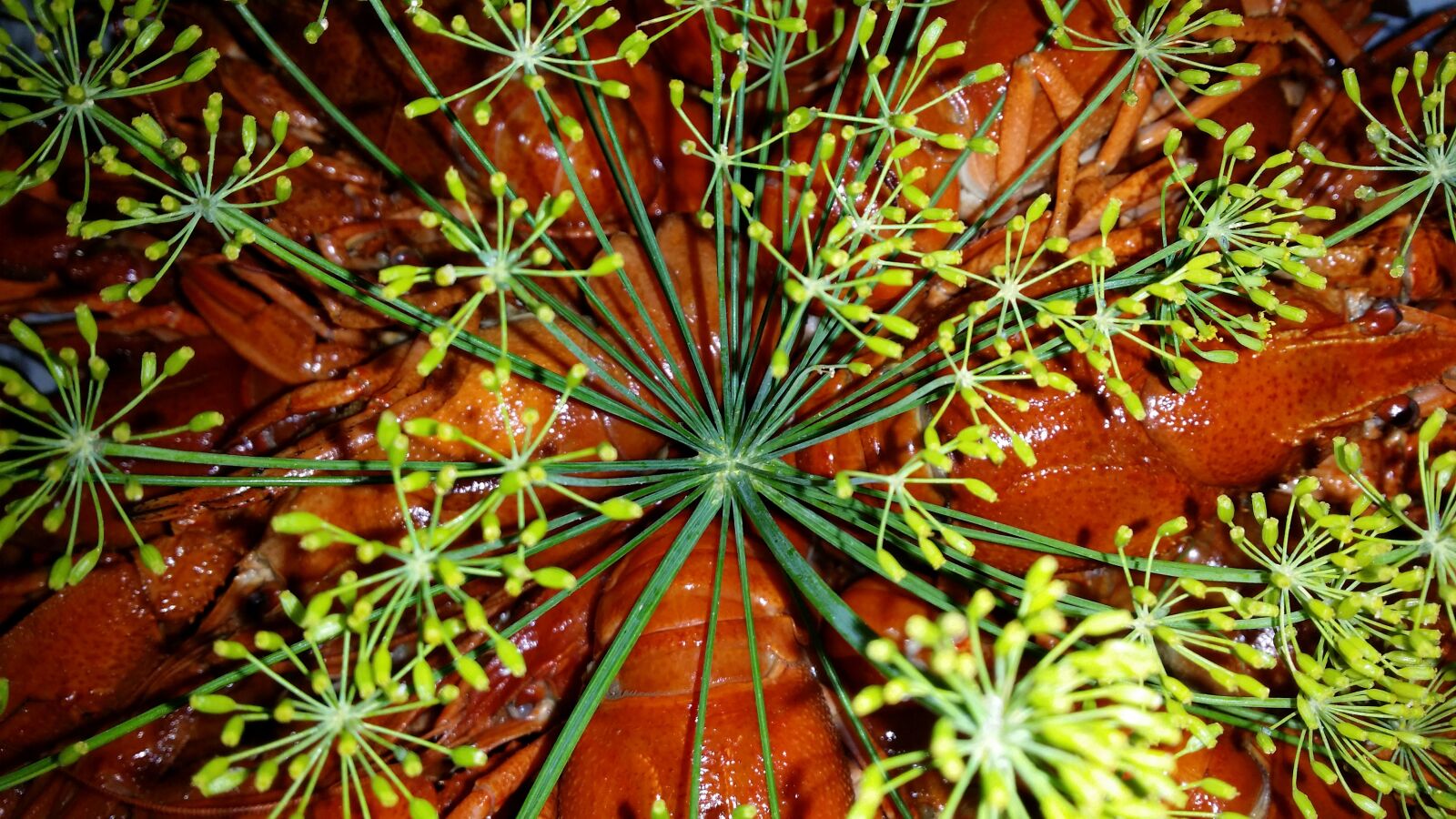 Samsung Galaxy S4 sample photo. Crayfish party, crayfish, crown photography