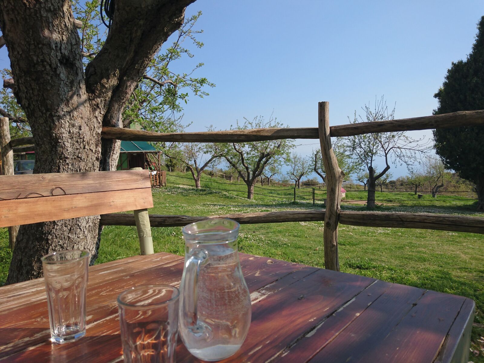 Sony Xperia Z3+ sample photo. Glass, relax, water photography