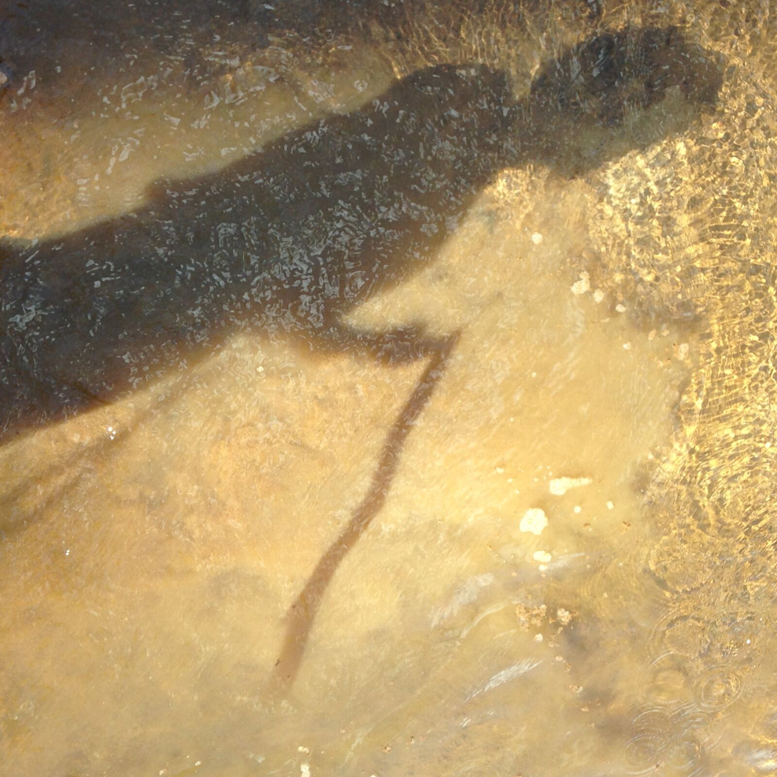 iPhone 5 back camera 4.12mm f/2.4 sample photo. Shadow, stream, creek photography