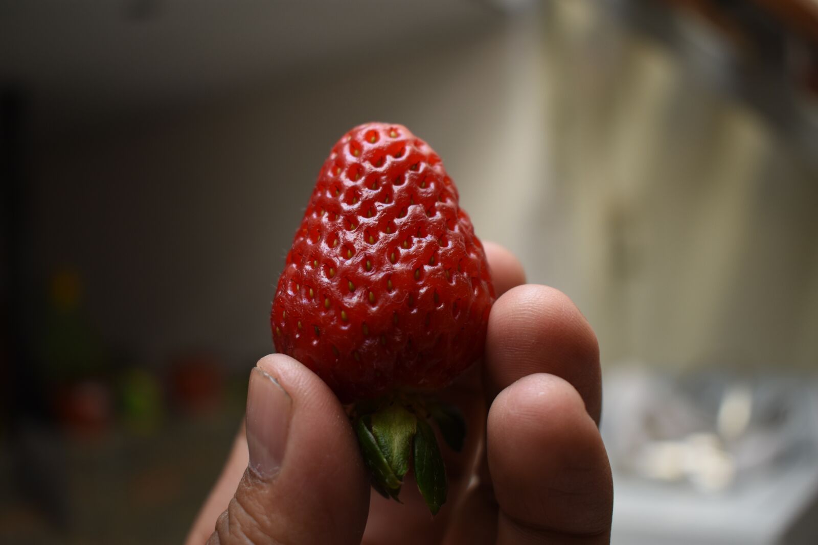 Nikon D3400 sample photo. Strawberry, fruit photography