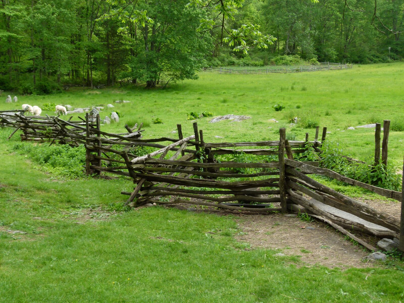 Panasonic Lumix DMC-FZ100 sample photo. Historic, farm, rural photography