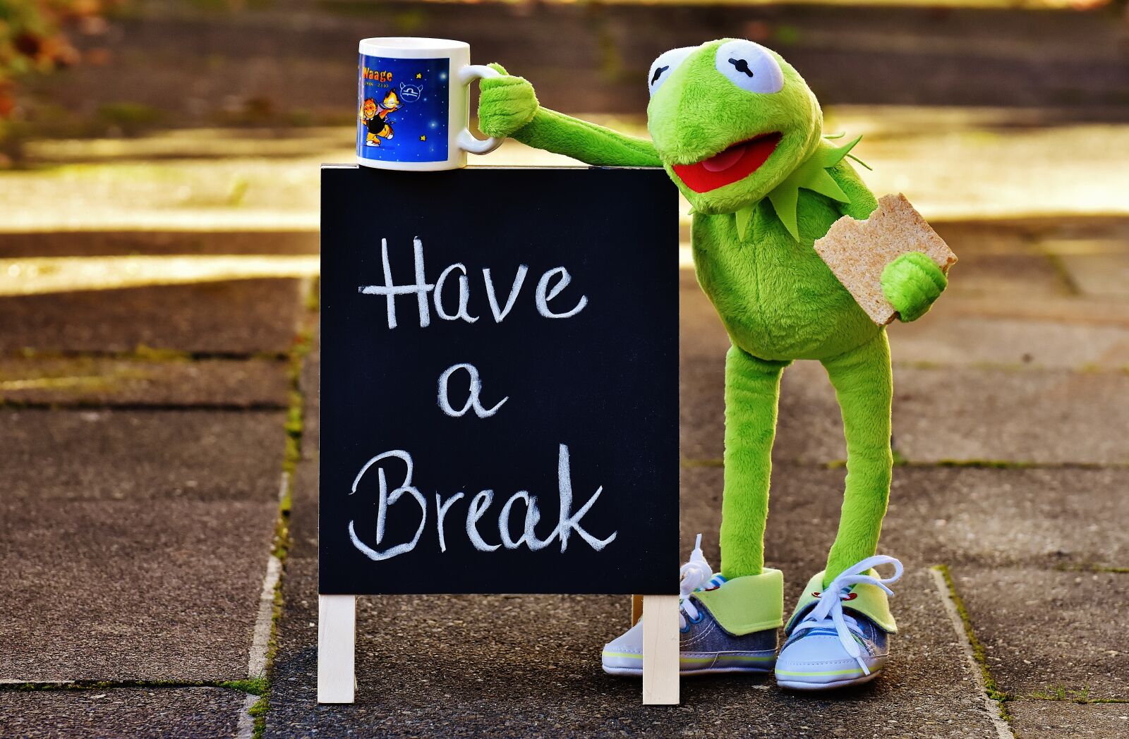 Nikon D7200 sample photo. Kermit, cup, drink coffee photography