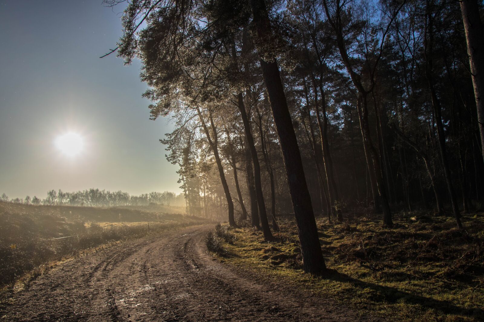 Canon EOS 80D sample photo. Forest, sunset, landscape photography