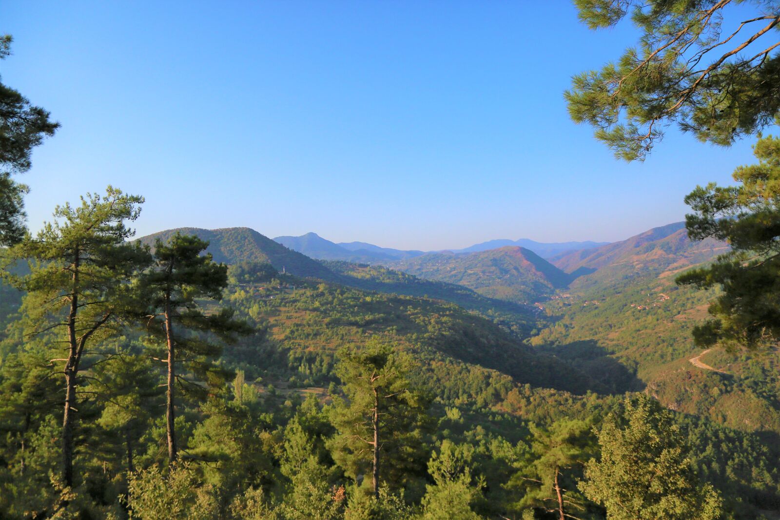 Canon EF 24-105mm F4L IS USM sample photo. Landscape, nature, tree photography
