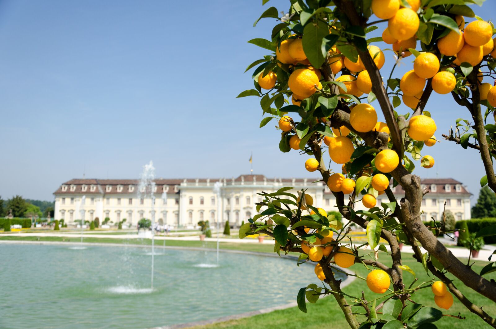 Nikon D5100 sample photo. Castle, ludwigsburg germany, baroque photography