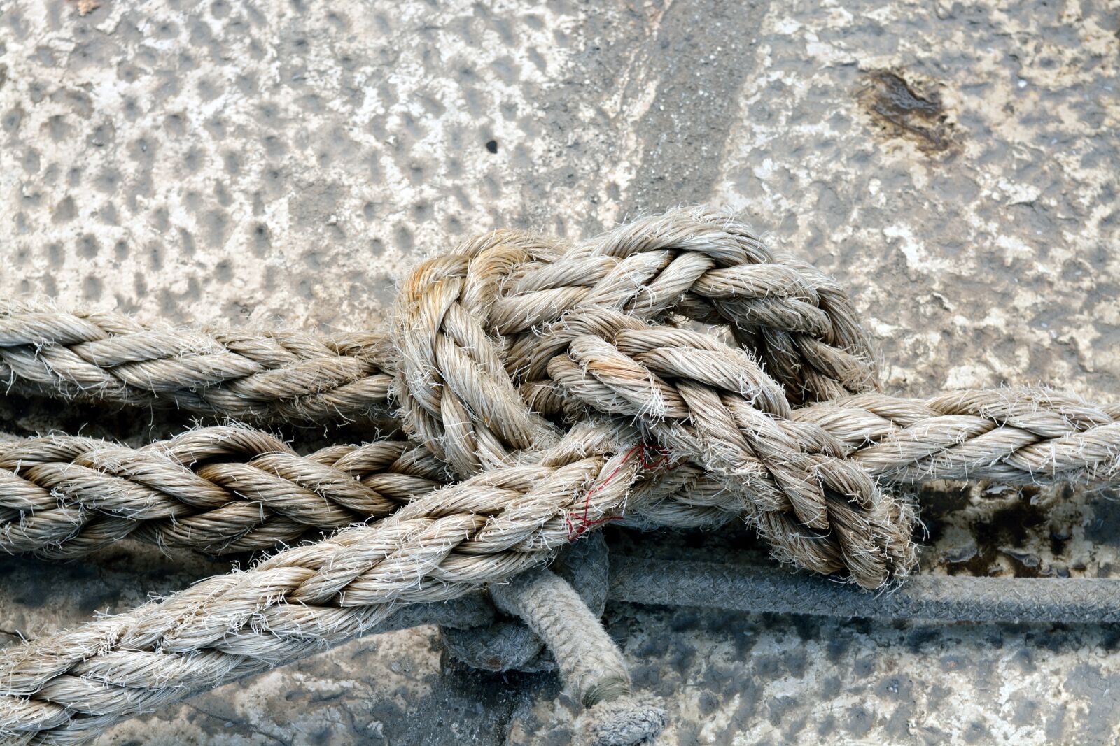 Nikon D7100 sample photo. Knot, ship, rope photography