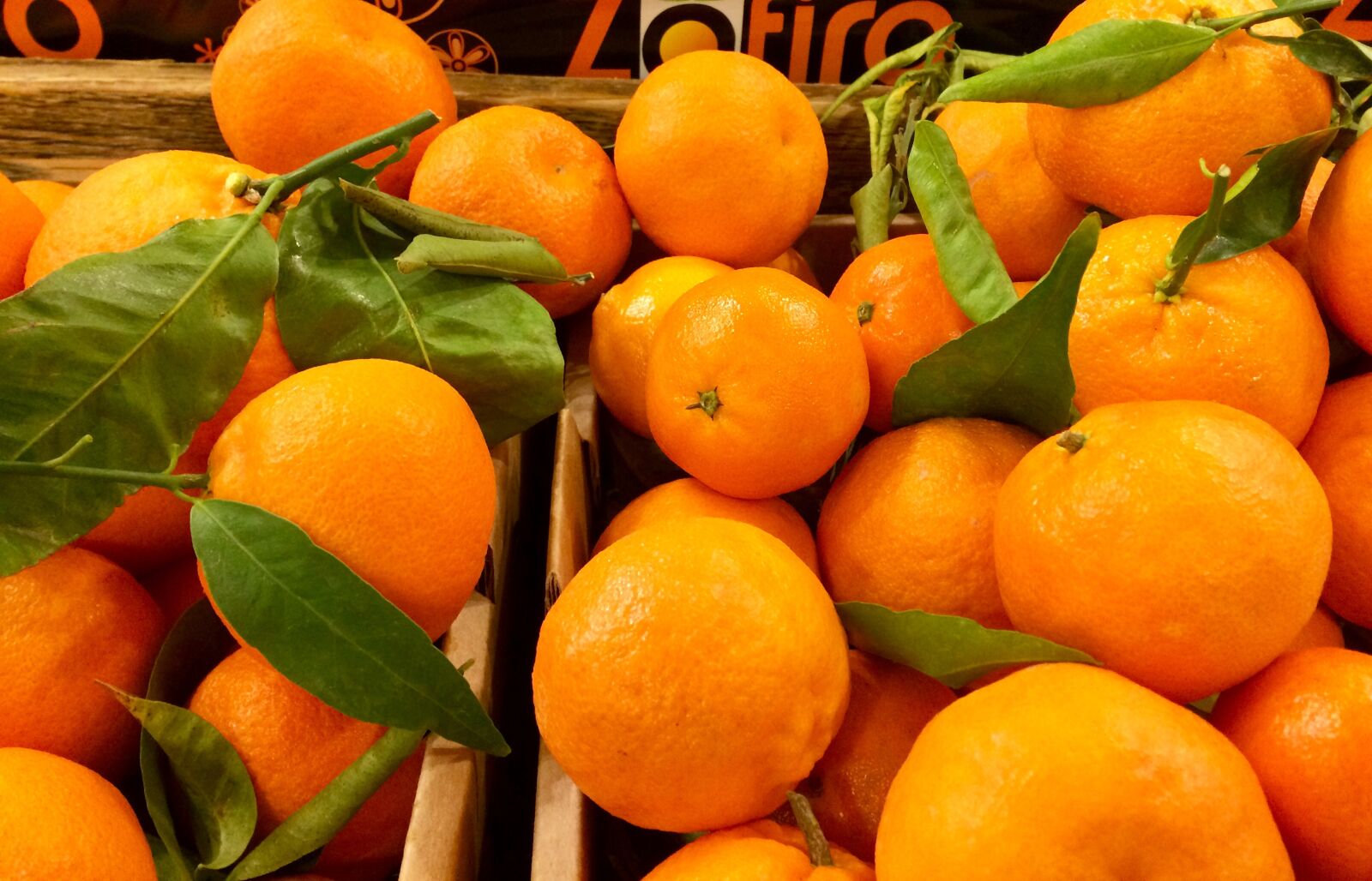 iPhone 5s back camera 4.15mm f/2.2 sample photo. Fruit, food, juicy photography