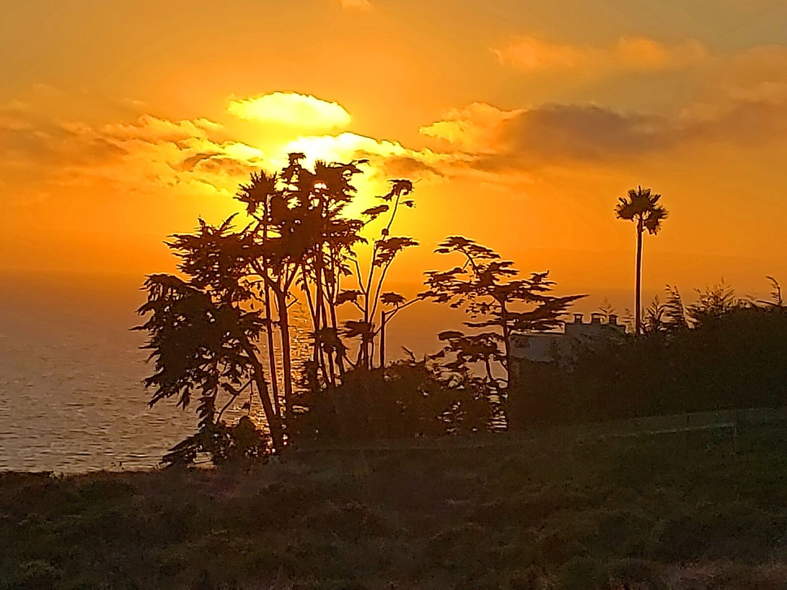 Samsung Galaxy S9 sample photo. Point dume, california, malibu photography