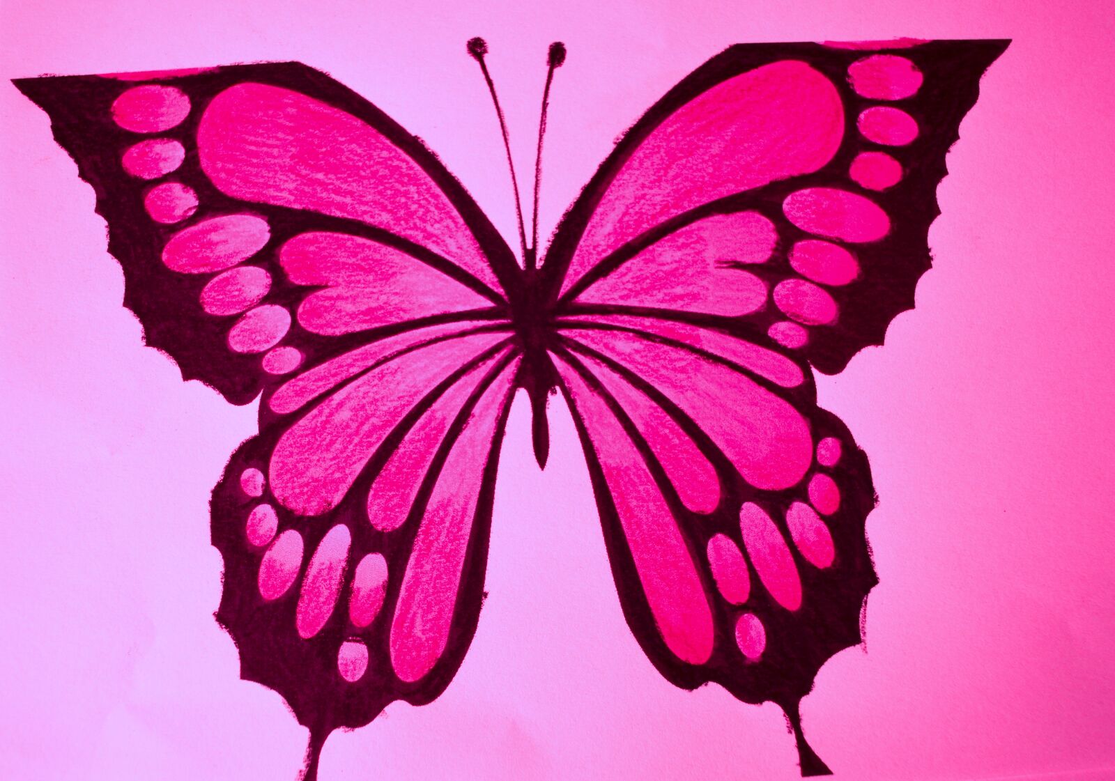 Nikon D3200 sample photo. Drawing, butterfly, wing photography