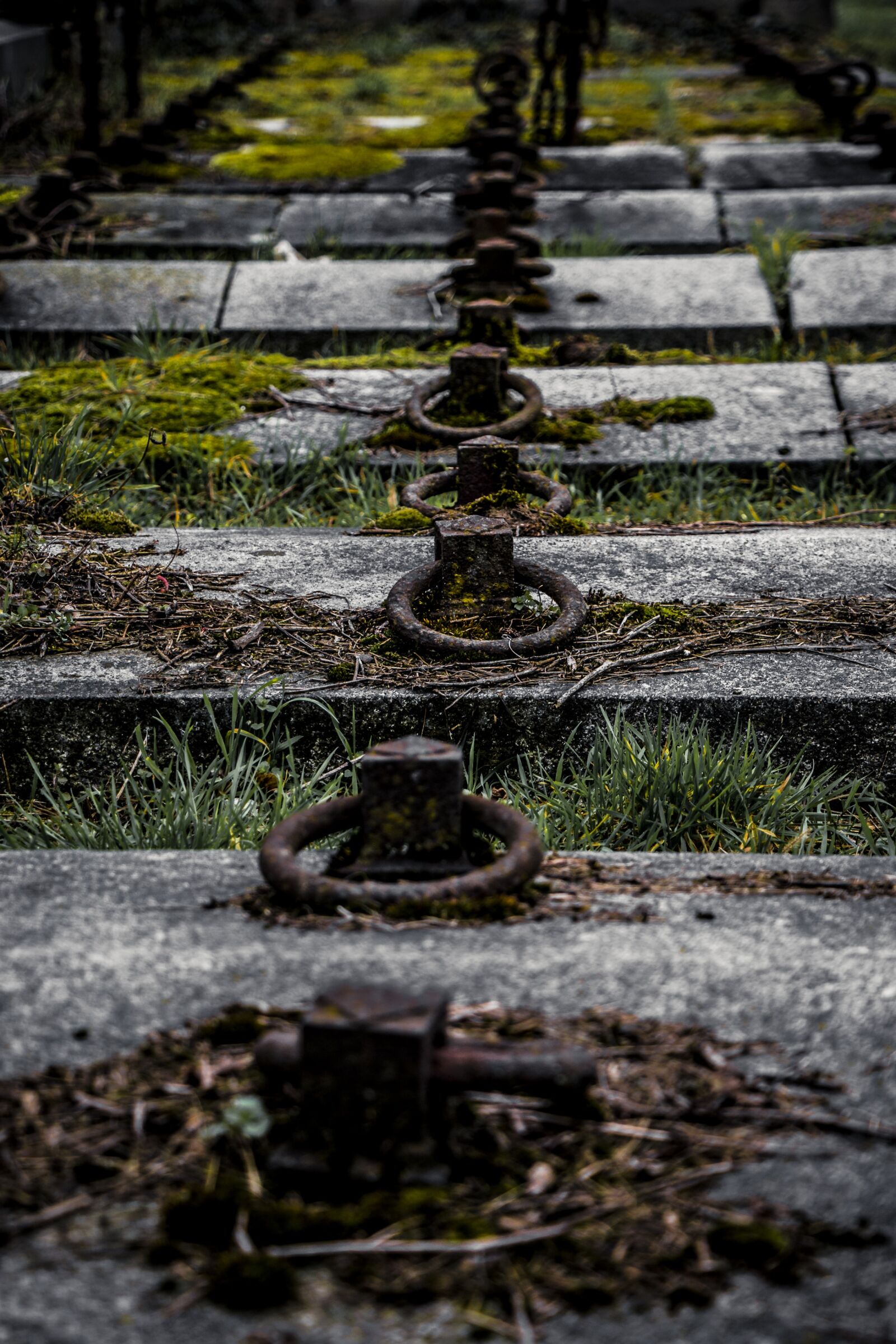 Canon EOS 70D sample photo. Tombstone, old, old cemetery photography