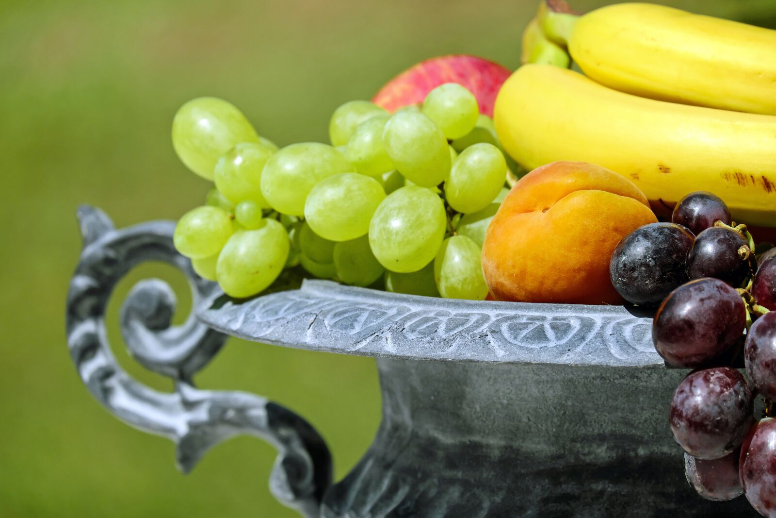 Fujifilm X-T10 + Fujifilm XC 50-230mm F4.5-6.7 OIS sample photo. Fruit bowl, shell, fruit photography