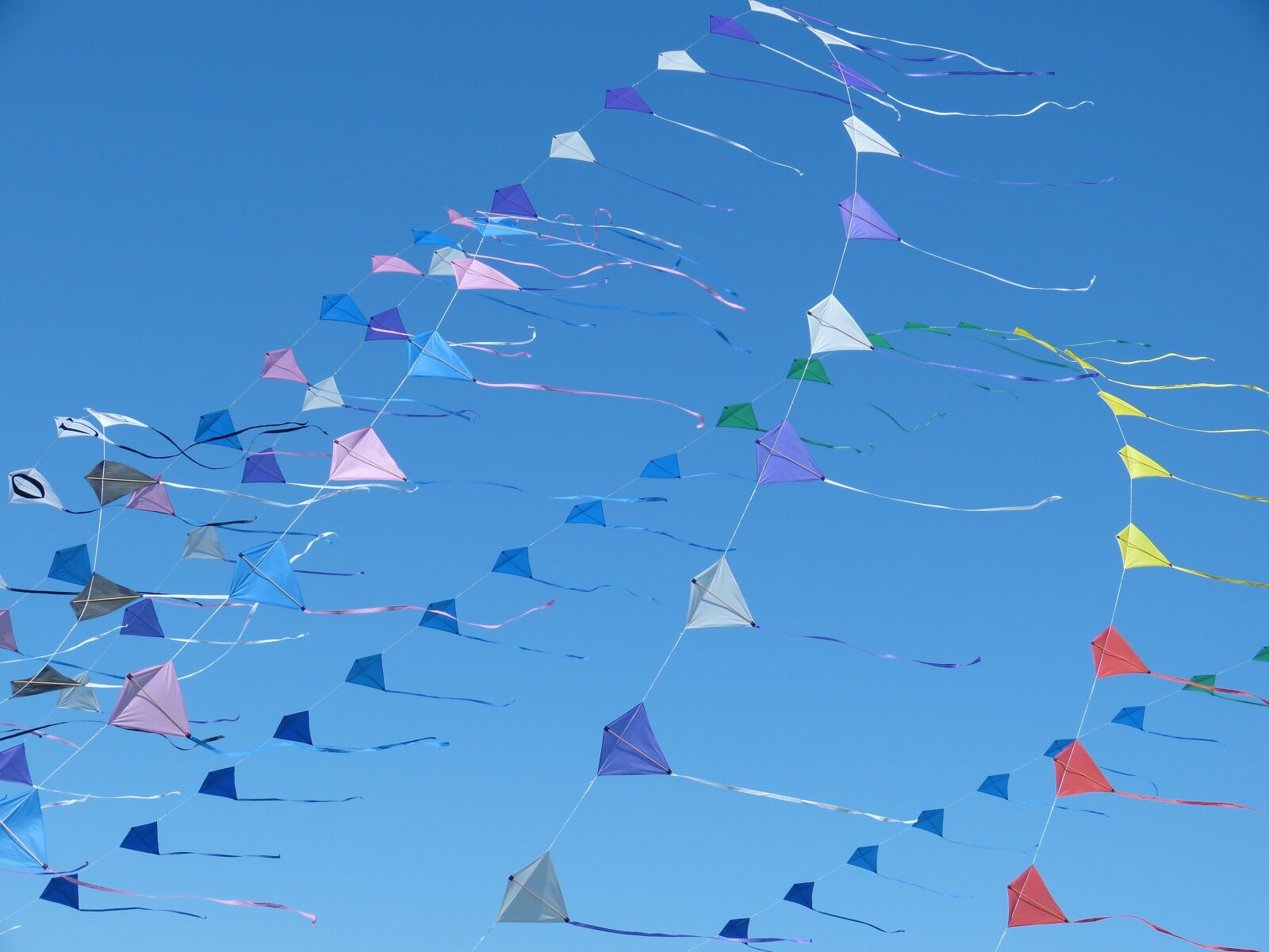Panasonic Lumix DMC-FZ150 sample photo. Sky, wind, kite photography