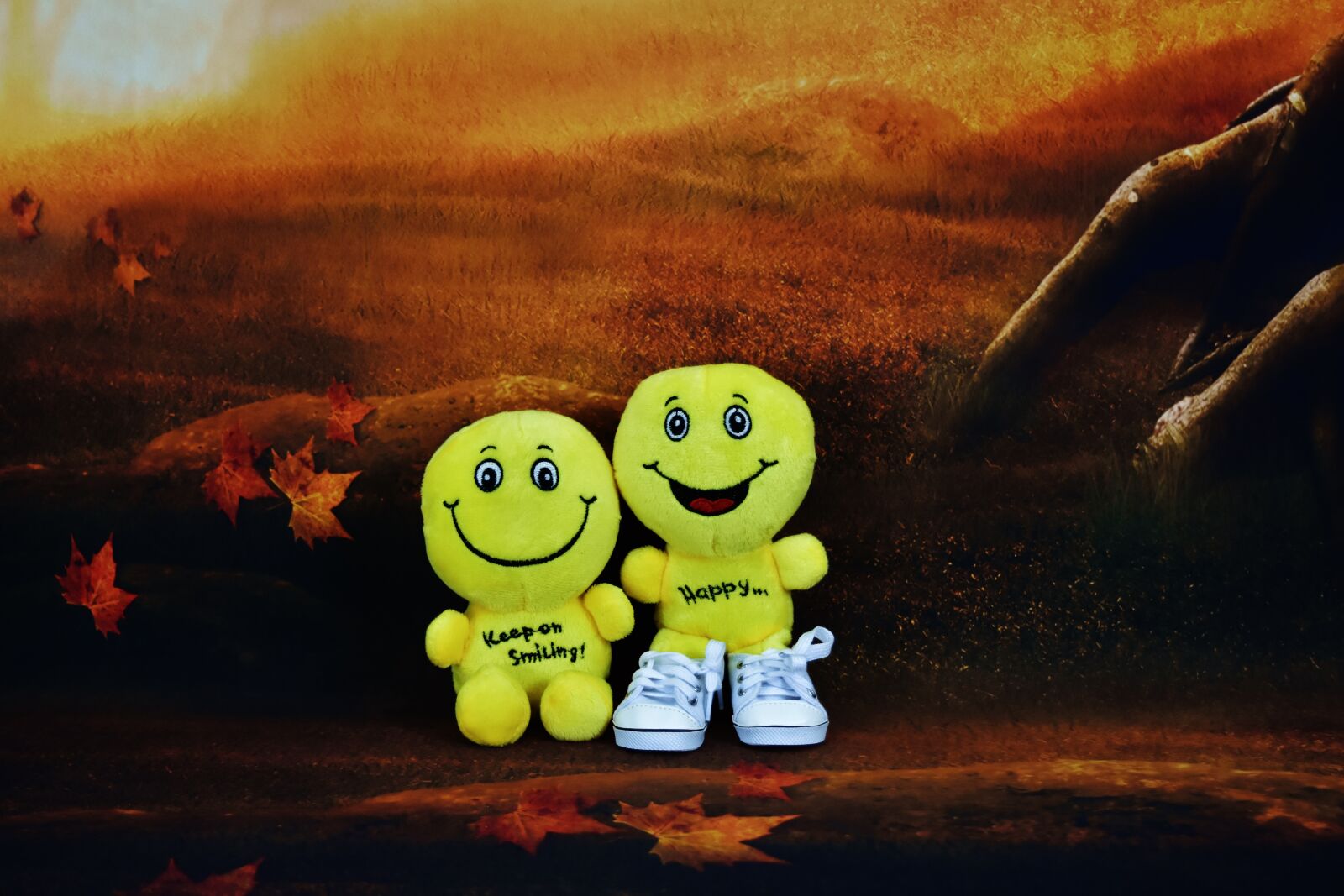 Nikon D7200 sample photo. Smilies, funny, yellow photography