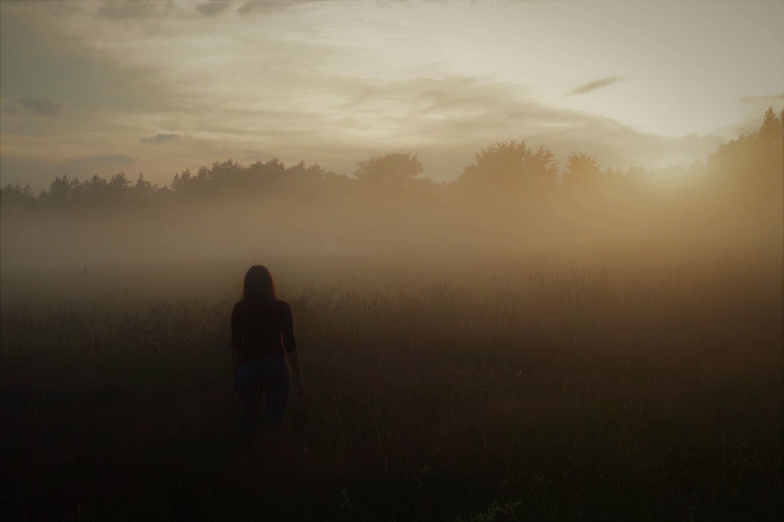 Pentax K-50 sample photo. The fog, sunset, the photography