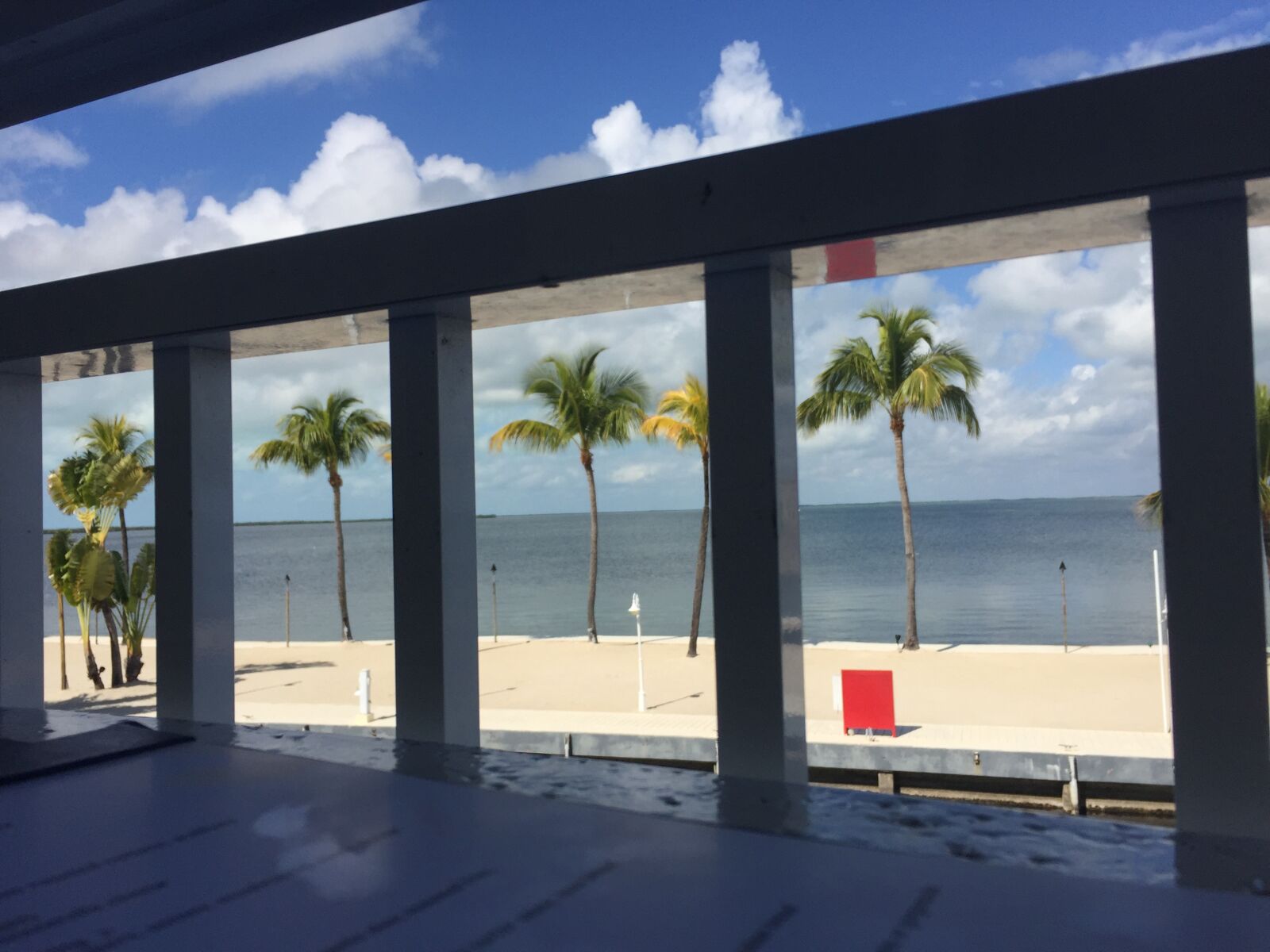 Apple iPhone 6 sample photo. Florida, tropical, vacation photography