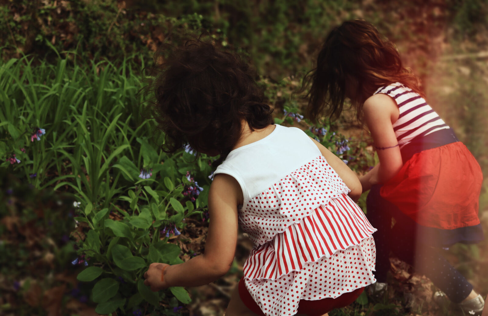Canon EOS 750D (EOS Rebel T6i / EOS Kiss X8i) sample photo. Children, flower, flowers, girl photography