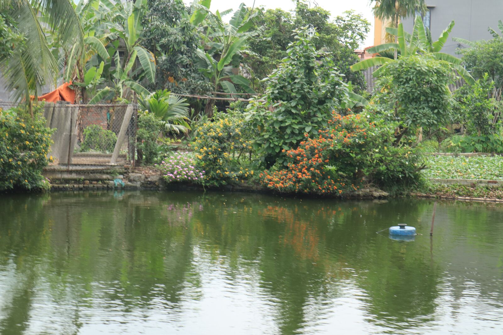 Canon EOS M50 (EOS Kiss M) sample photo. Water, ao, the garden photography