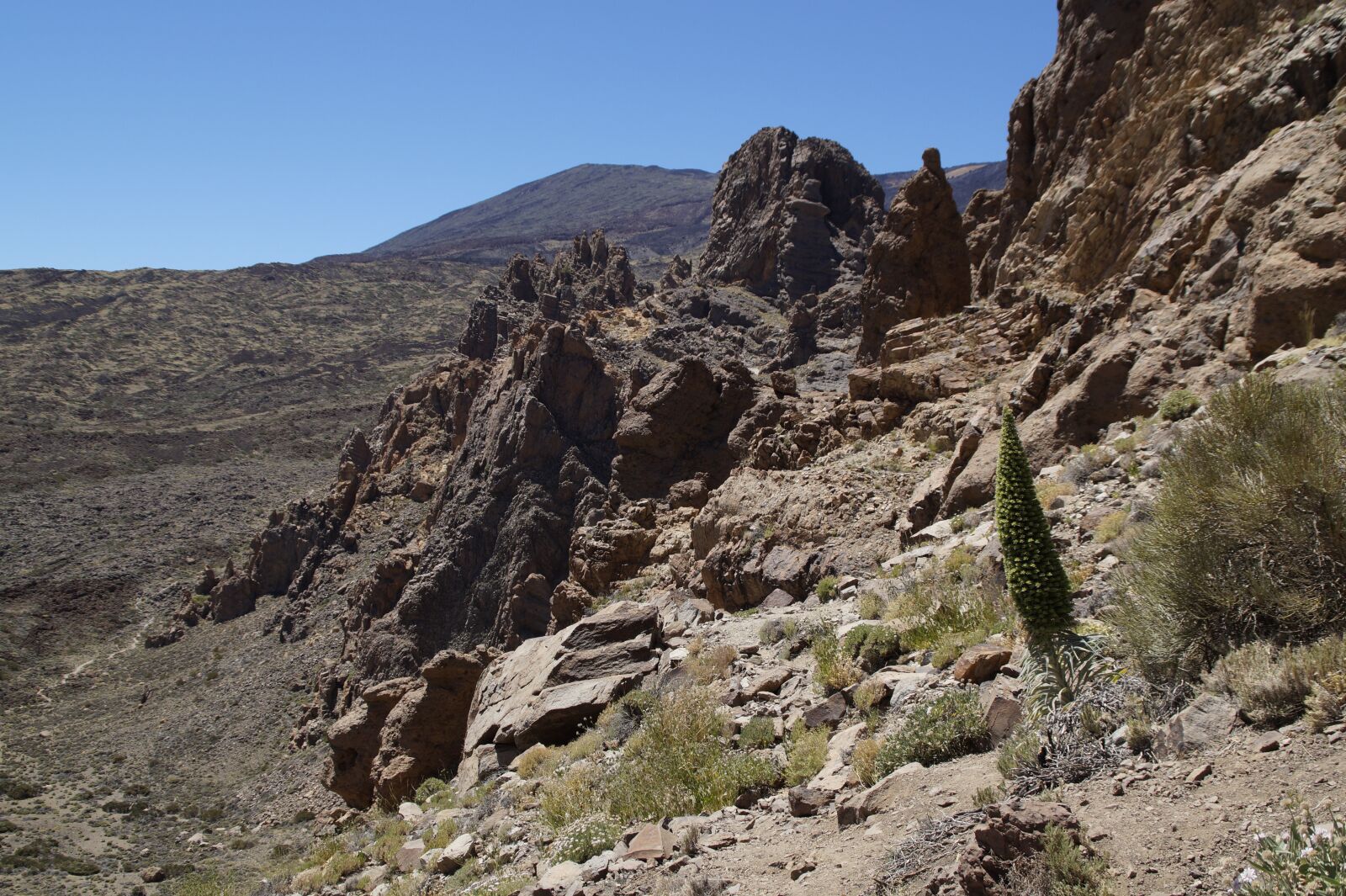Sony SLT-A58 sample photo. Teide national park, national photography
