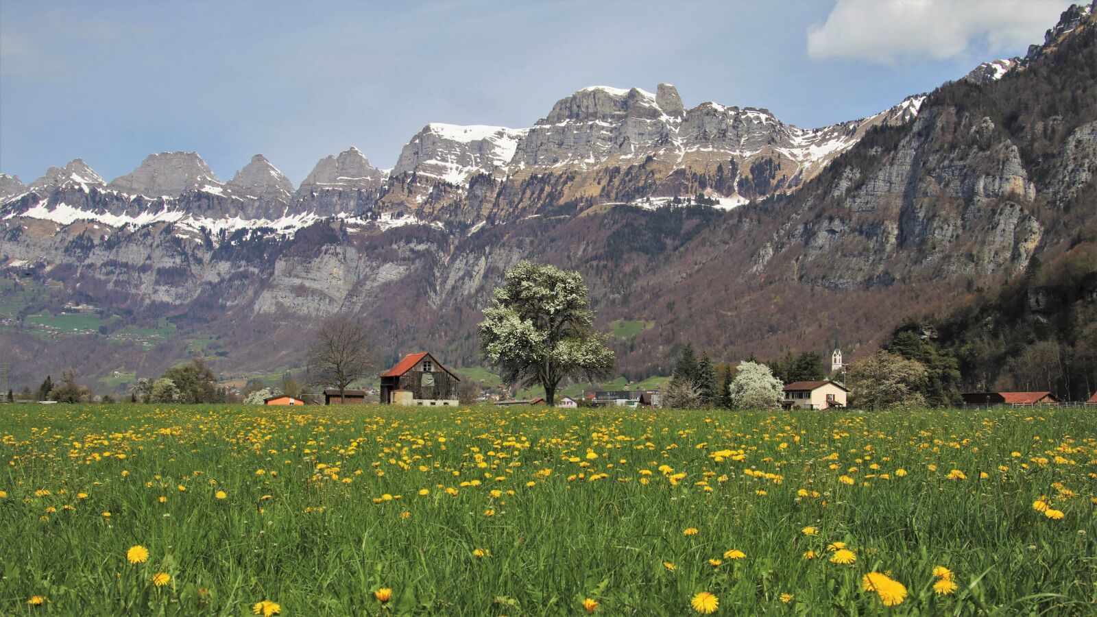 Canon EOS 80D sample photo. The alps, dandelion, panorama photography