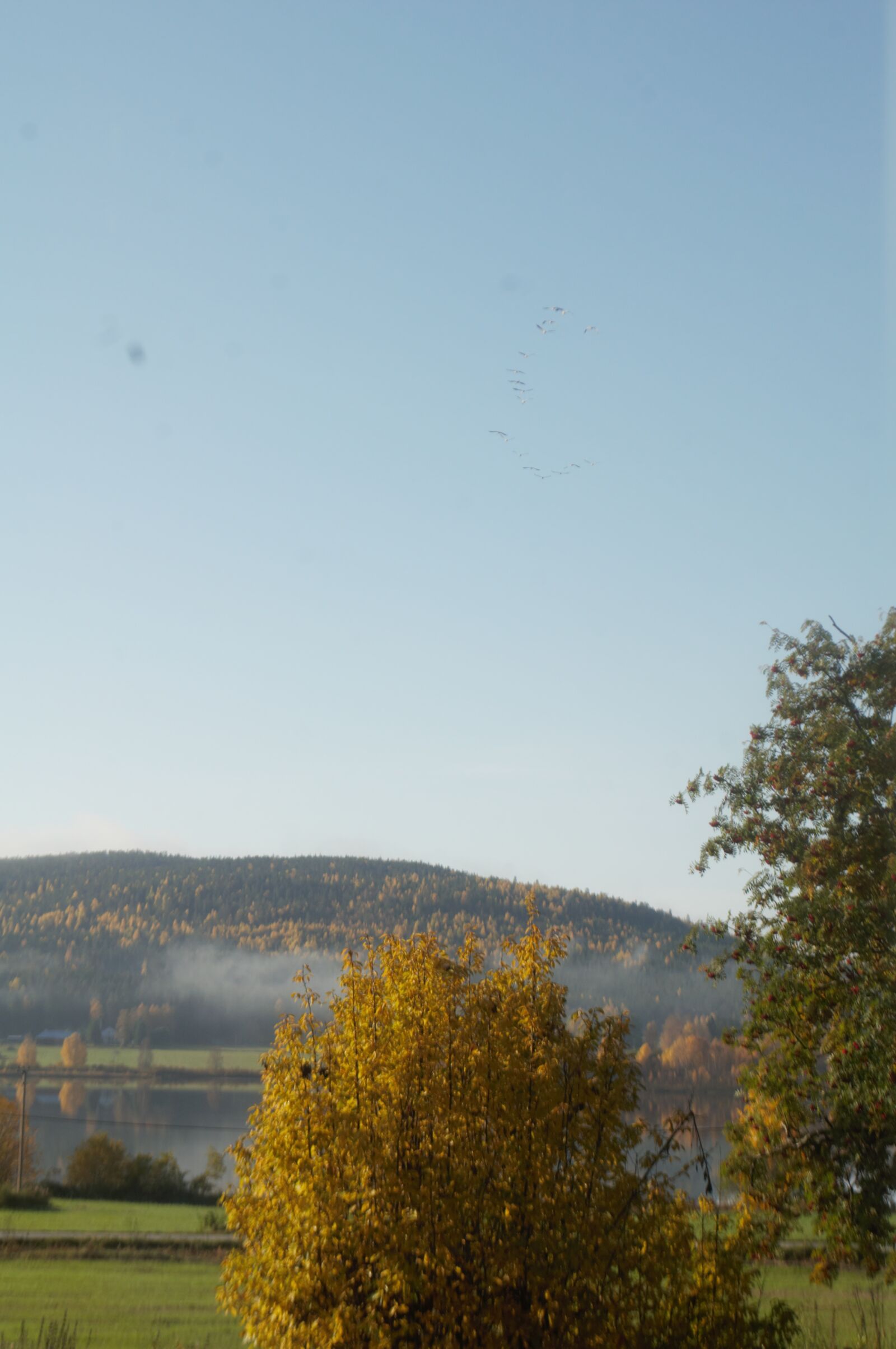 Nikon D5000 sample photo. The fog, the mountains photography