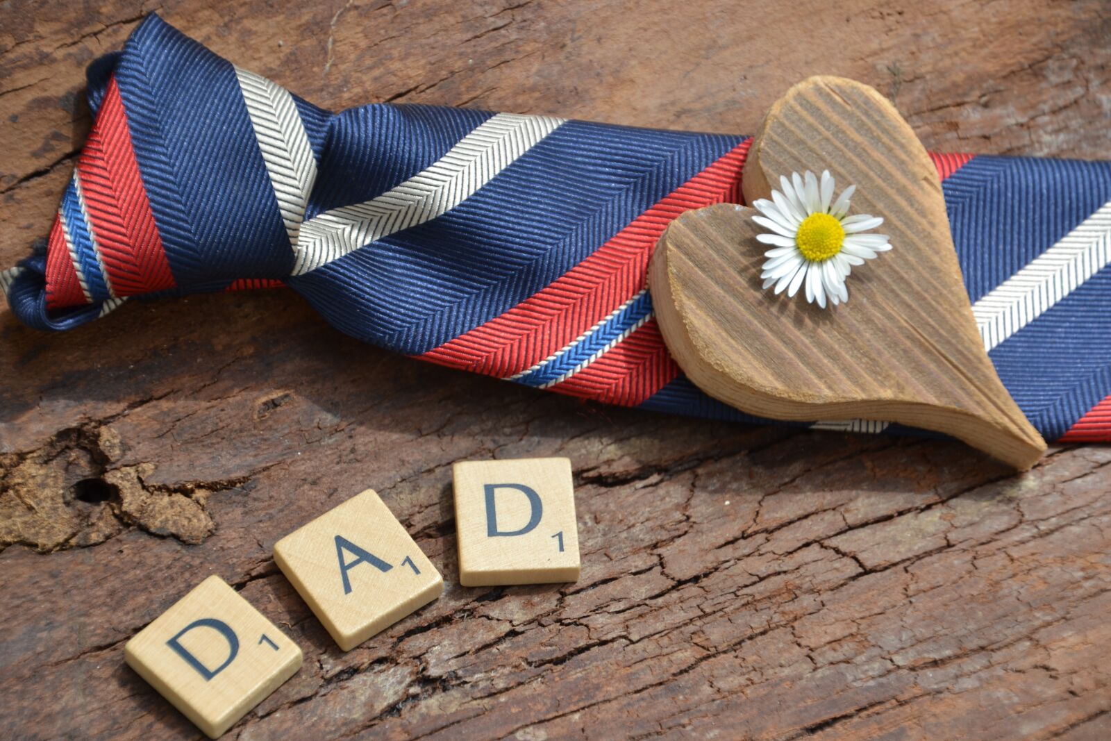 Nikon D3100 sample photo. Father's day, love, thank photography