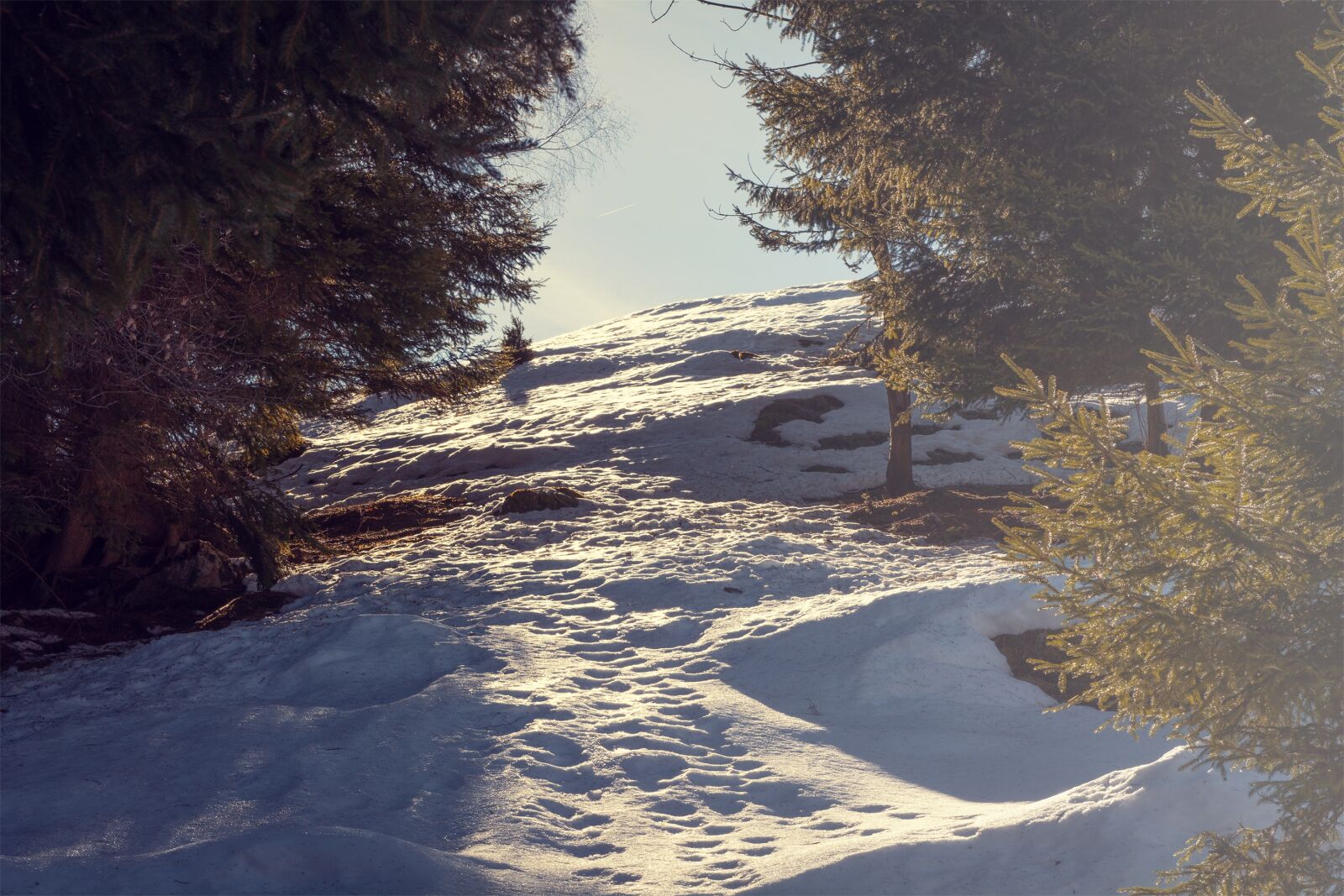 Nikon D7100 sample photo. Landscape, snow, nature photography