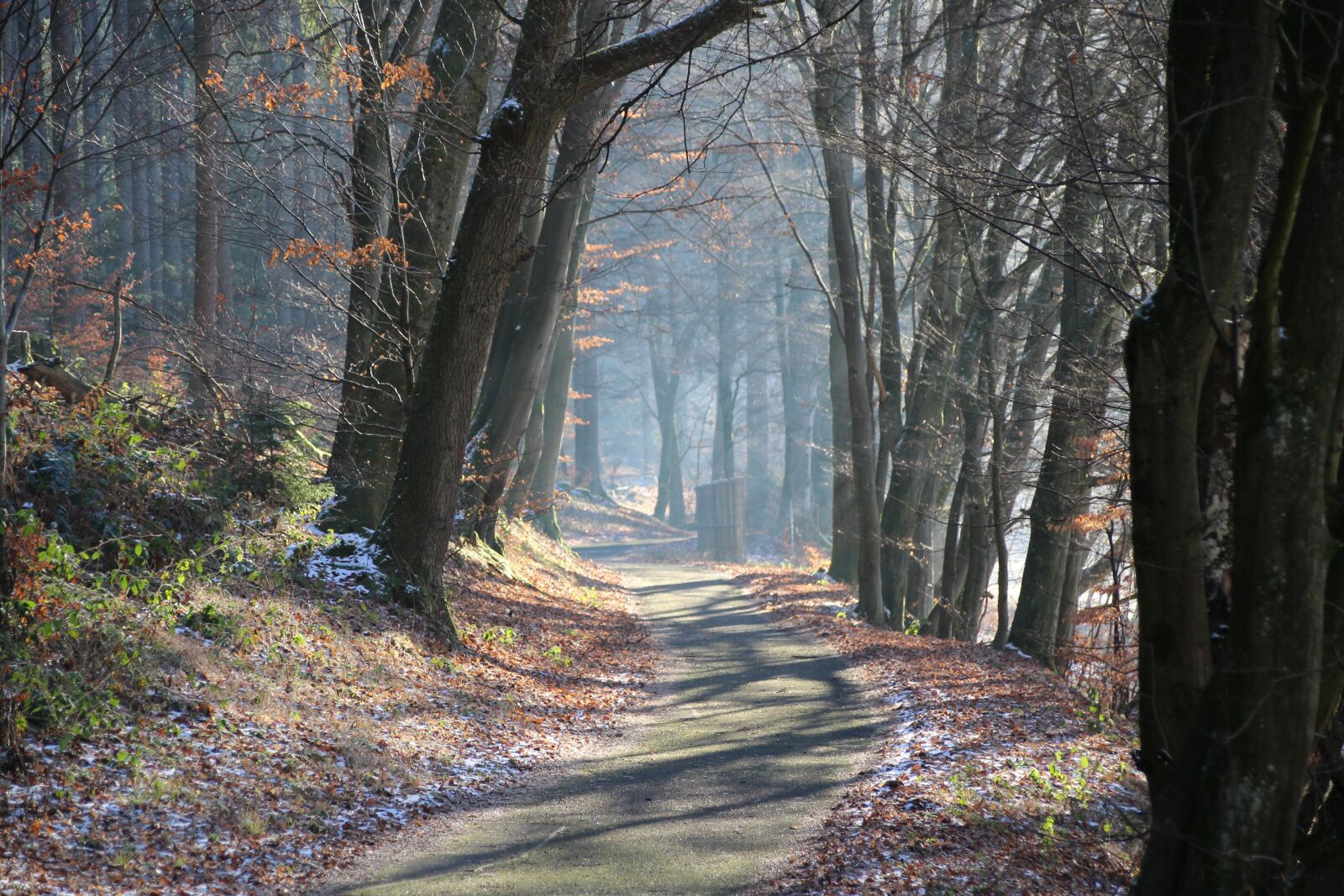 Canon EOS 1300D (EOS Rebel T6 / EOS Kiss X80) + Canon TS-E 90mm F2.8 Tilt-Shift sample photo. Light, winter, sunrise photography