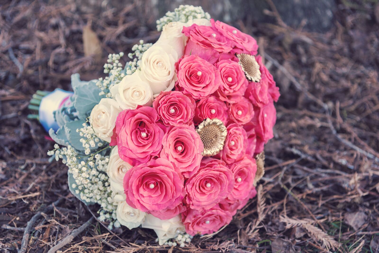Nikon D750 sample photo. Flower, wedding, rose photography