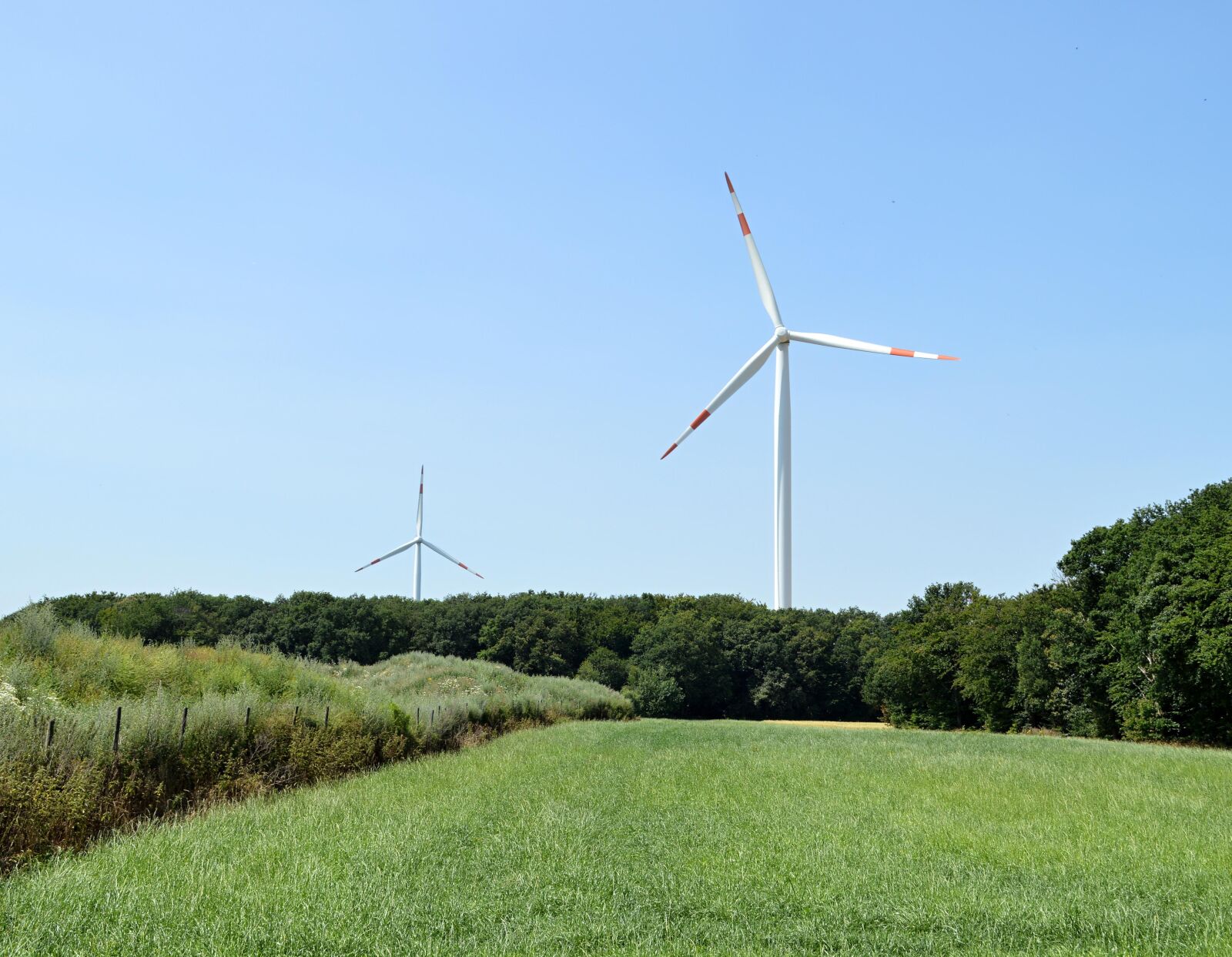Nikon D3200 sample photo. Pinwheel, wind energy, field photography