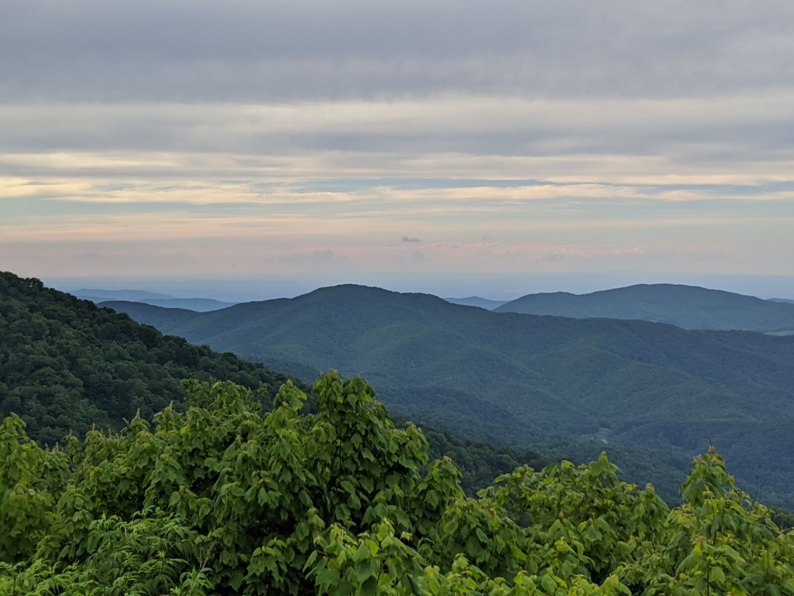 Google Pixel 3 XL sample photo. Nature, north carolina, outdoor photography